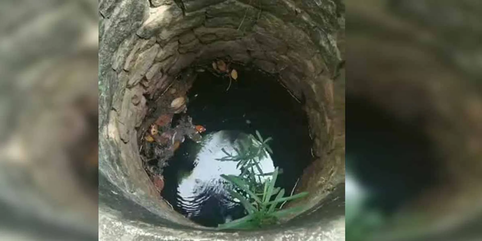 incident in pudukottai 