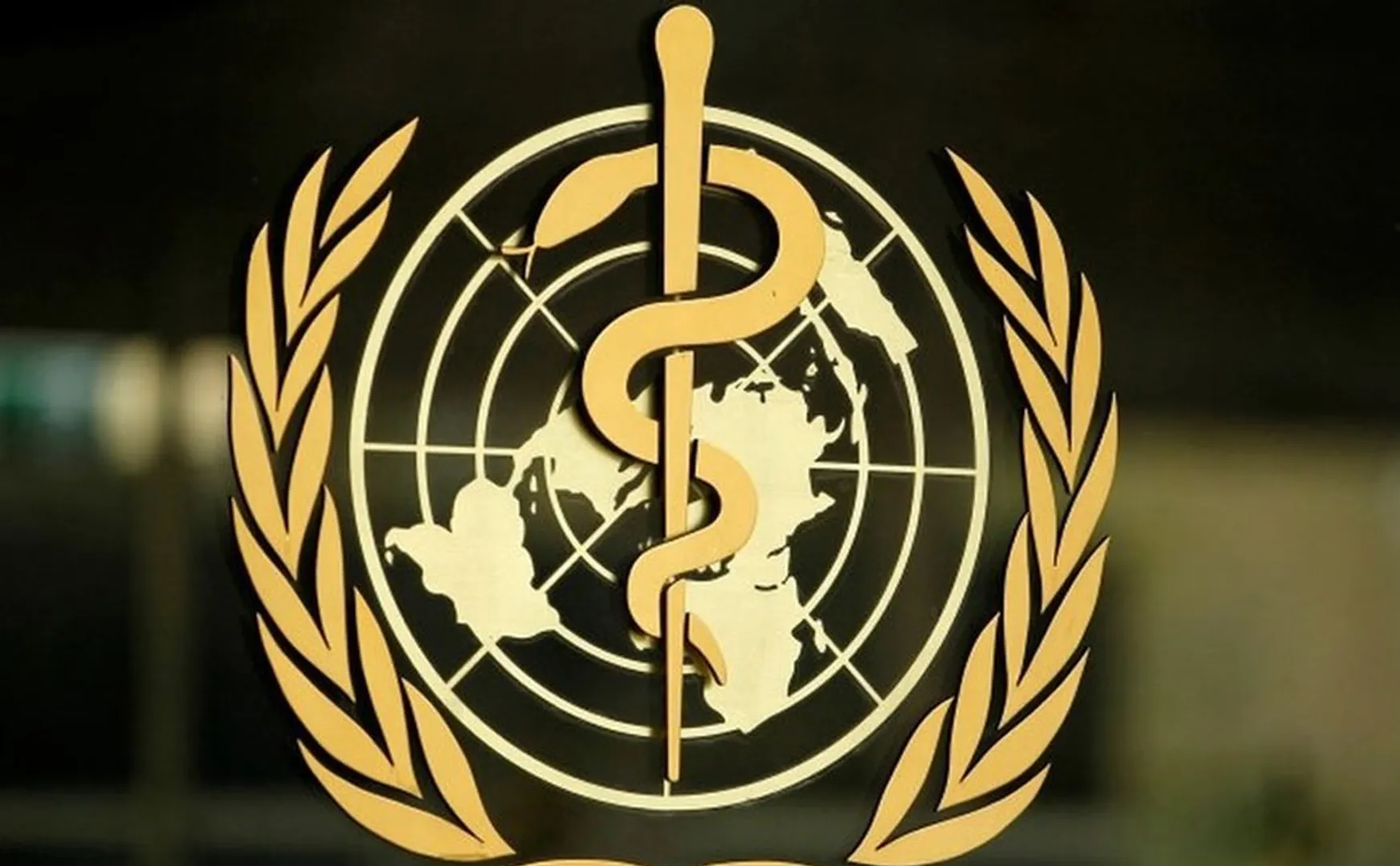 world health organization 