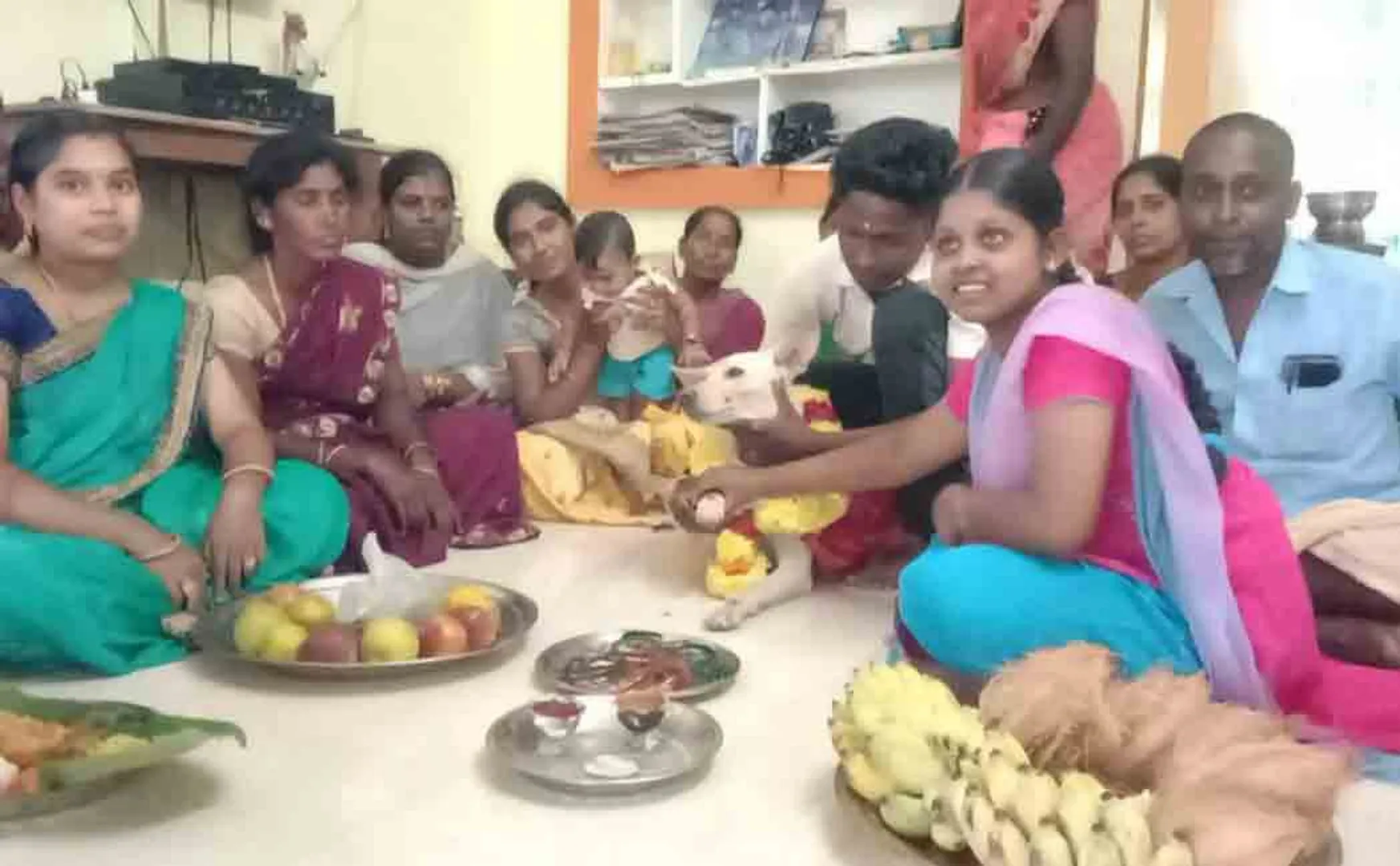  baby shower  for dog near theni 