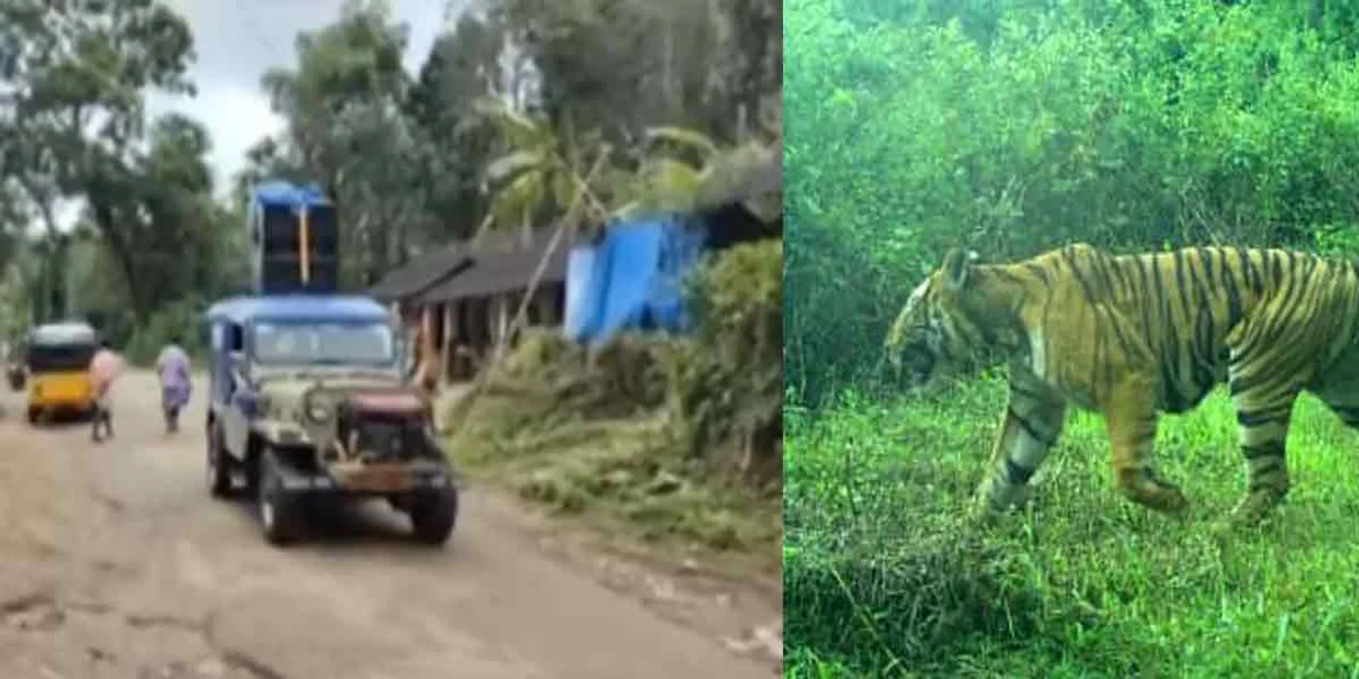 Forest Department warning!