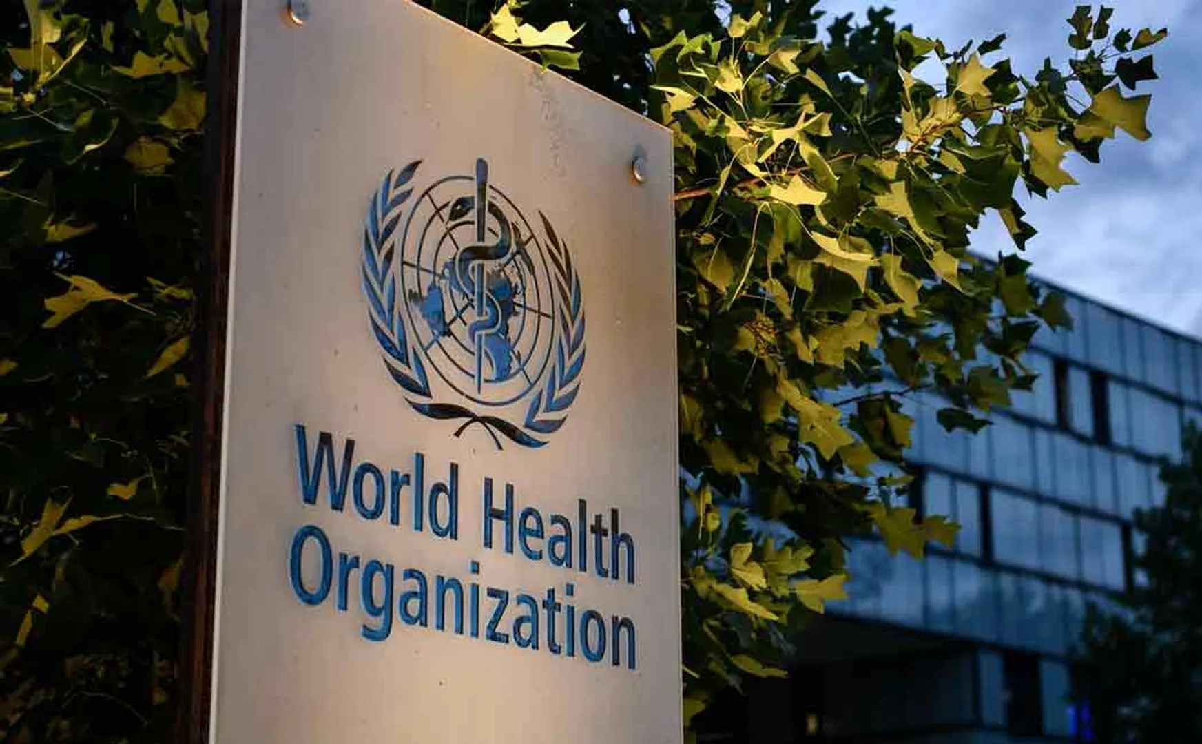 world health organization 