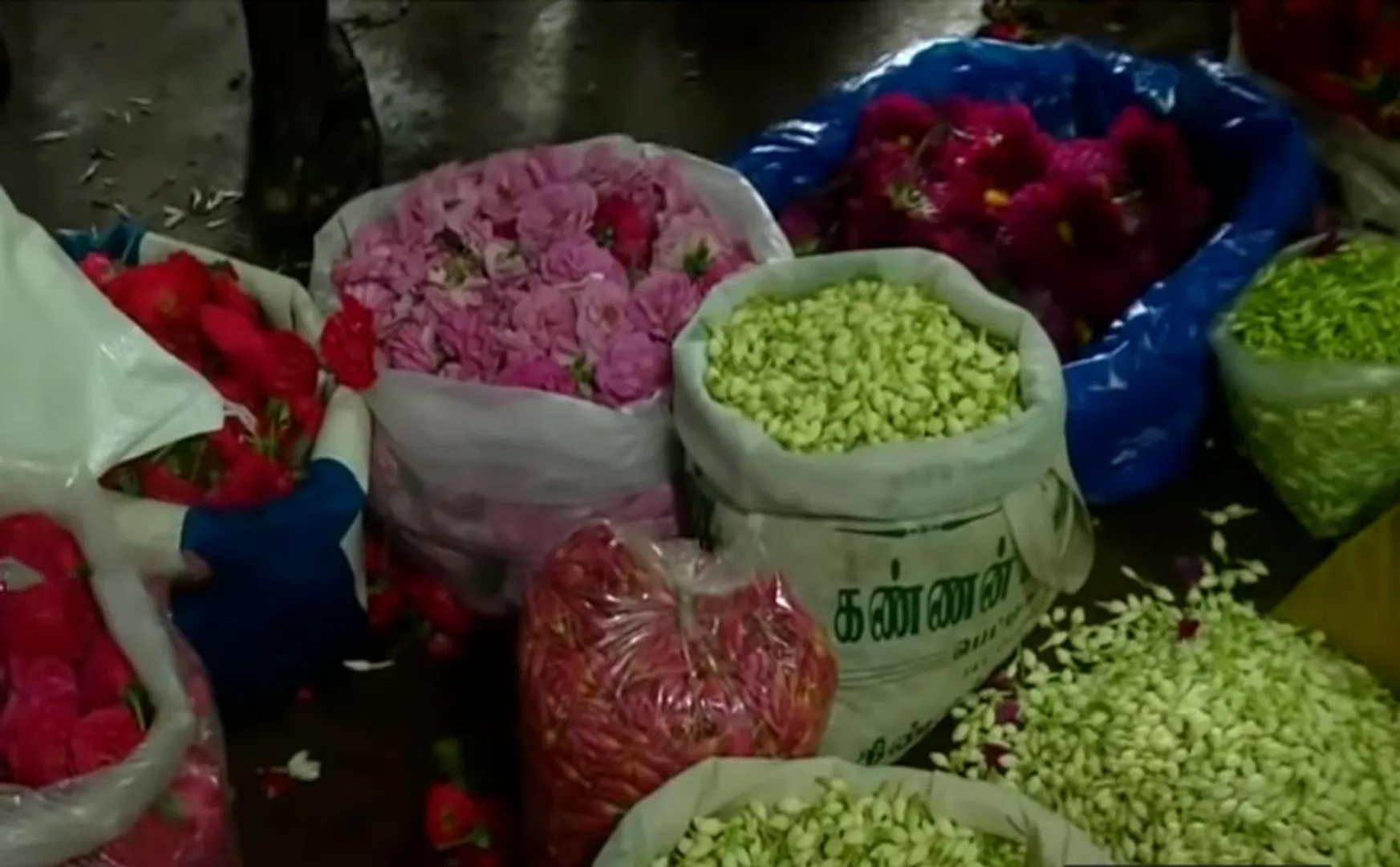 Vibrant sales at flower markets!