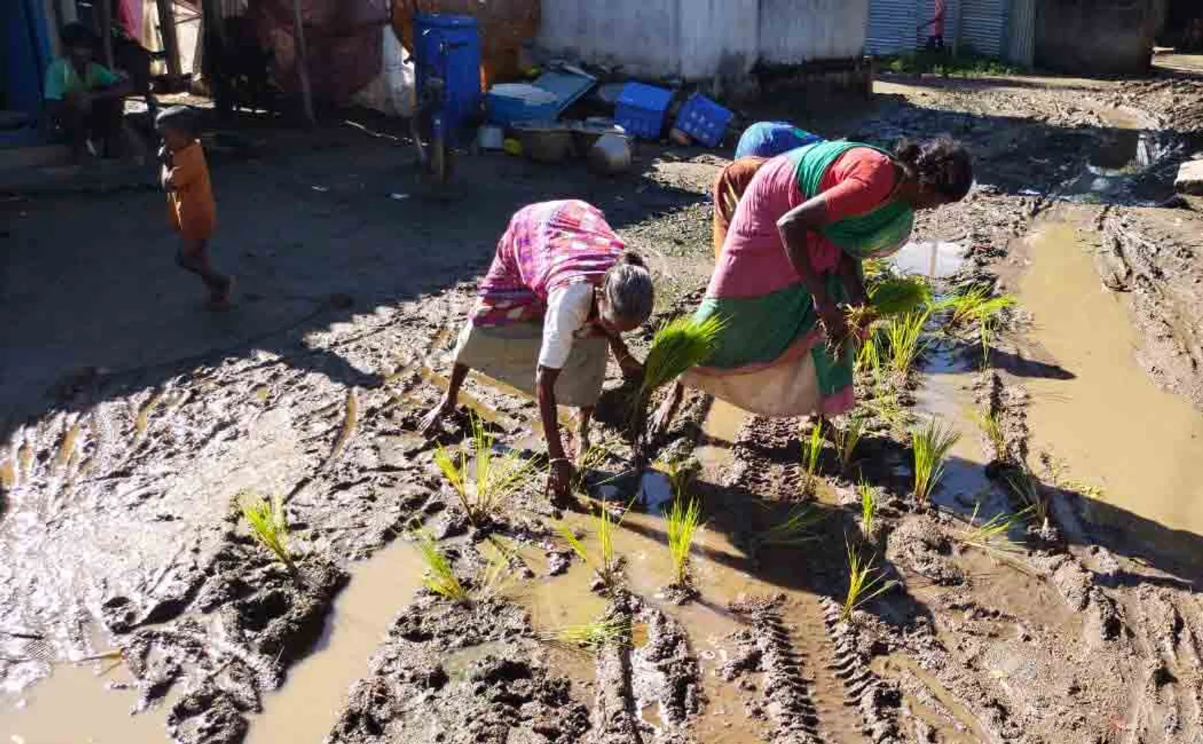 ‘We are going to call the collector for the harvest’ - People’s struggle demanding road repairs