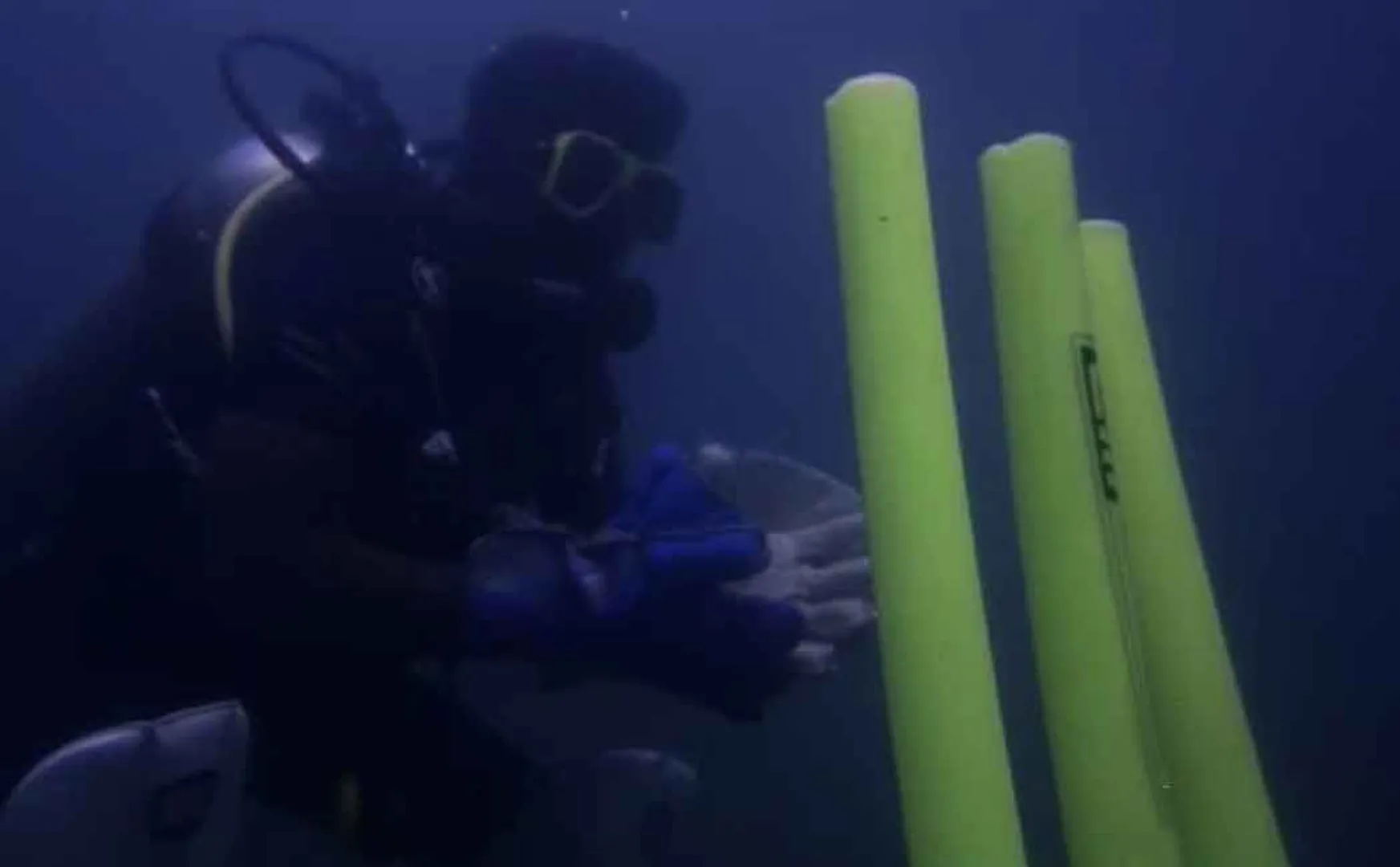 20 minute cricket at a depth of 12 meters, action of the youth who impressed many