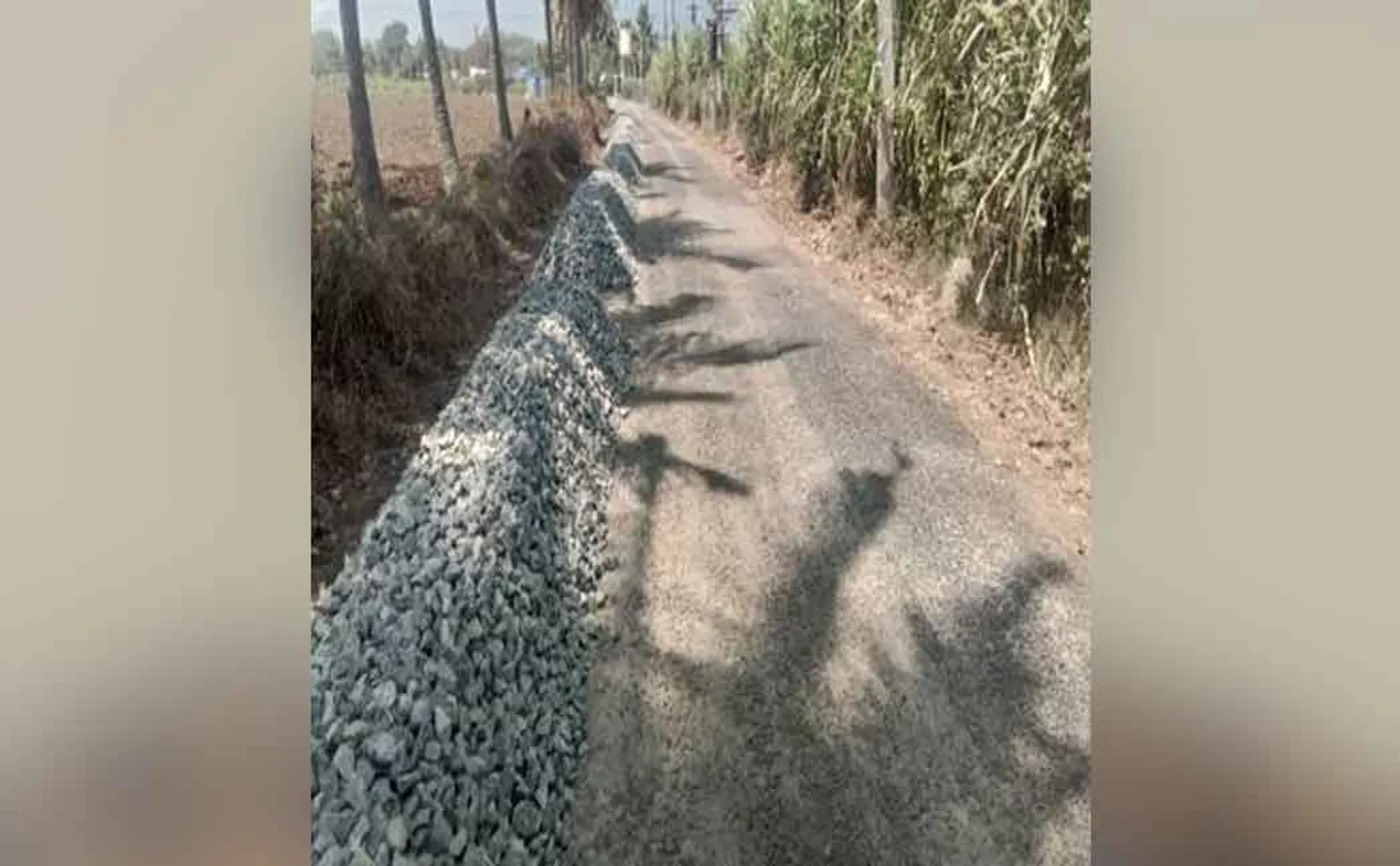 "Urgent action must be taken to complete the work" - Farmers demand