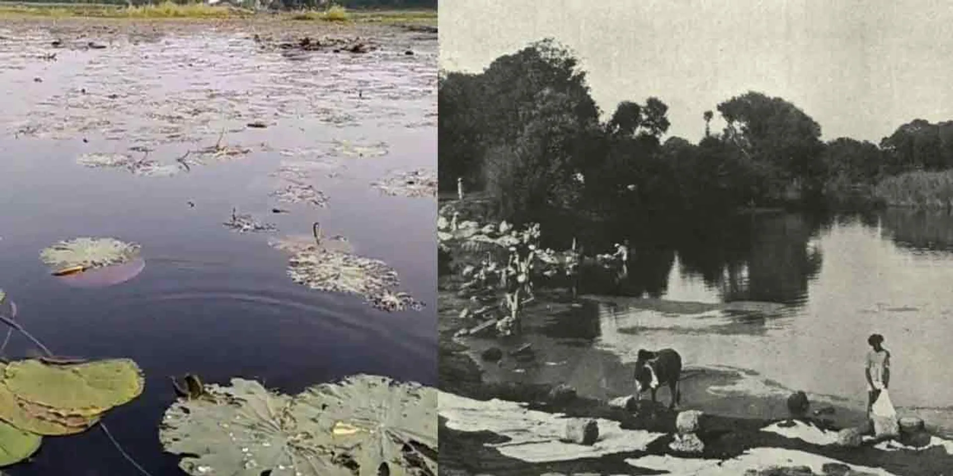 Removal of community names behind water bodies ...!