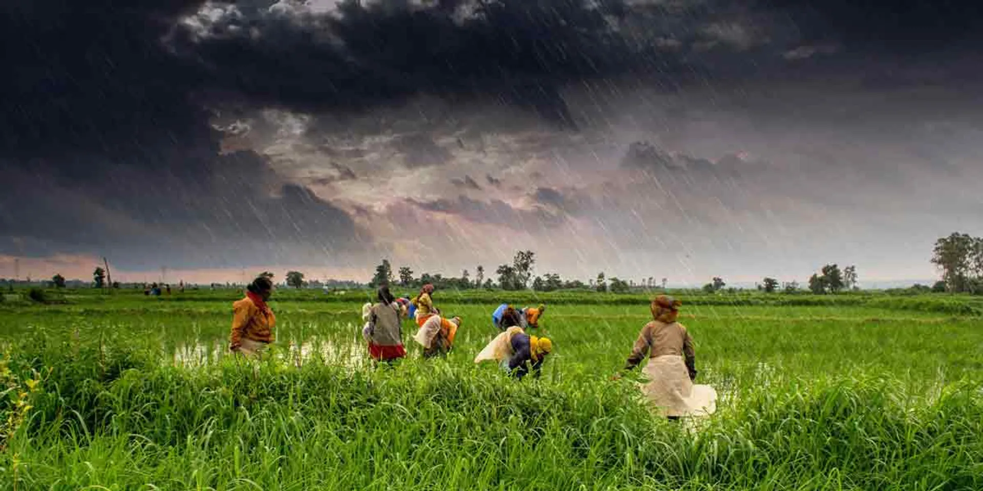 Heavy rain in delta ... 'Northeast monsoon' begins in 48 hours