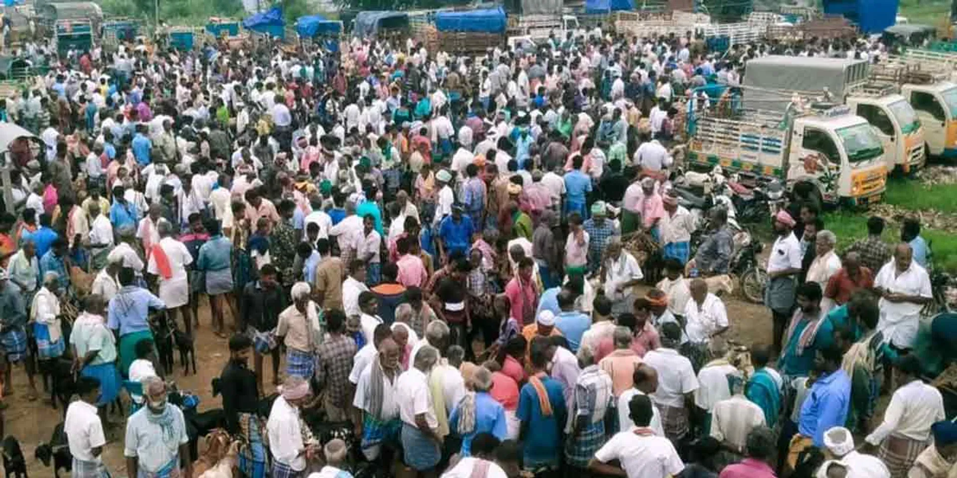 Echo of Deepavali ... Ayyalur Goat Market Colect for Rs 2 crore!