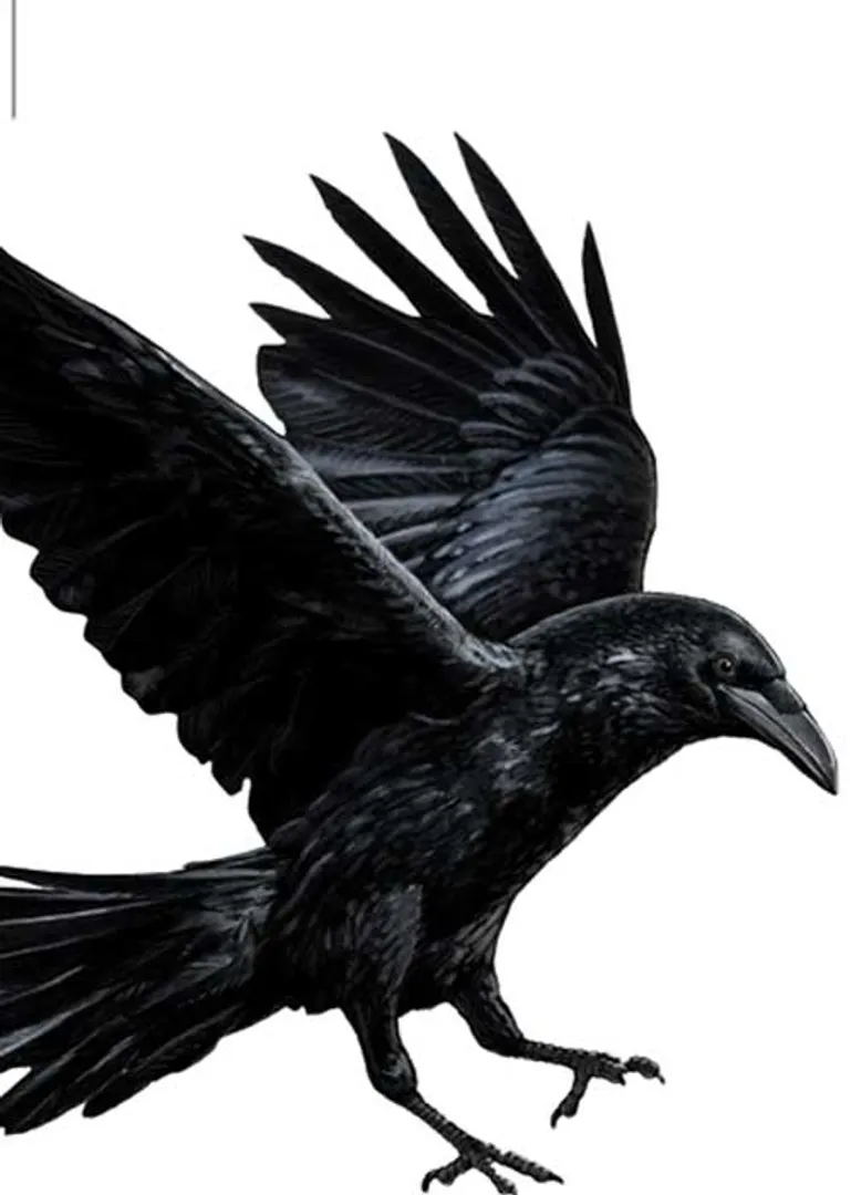 /idhalgal/eniya-utayam/crow-urum-tamil-sura