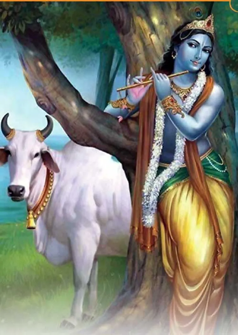 /idhalgal/om/numerical-benefits-october-r-makalatacaumai