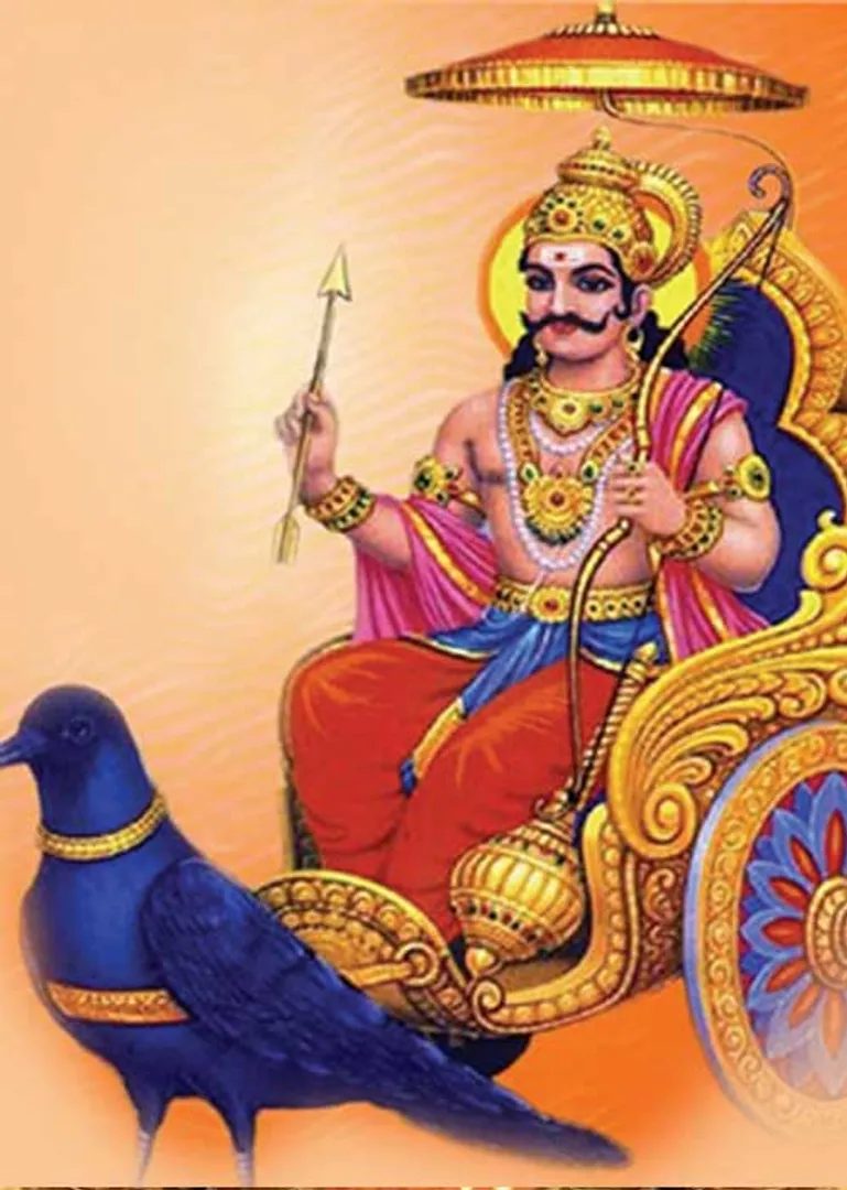 /idhalgal/balajothidam/saturn-12-sins-rishabha-lakshman