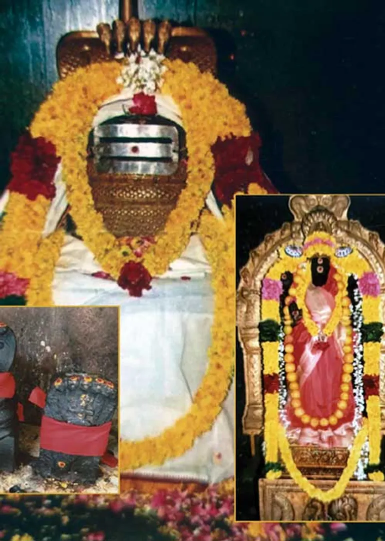 /idhalgal/om/nageswaramudaiyar-who-removes-nagatosham-and-understands-goodness-coimbatore-arumugam