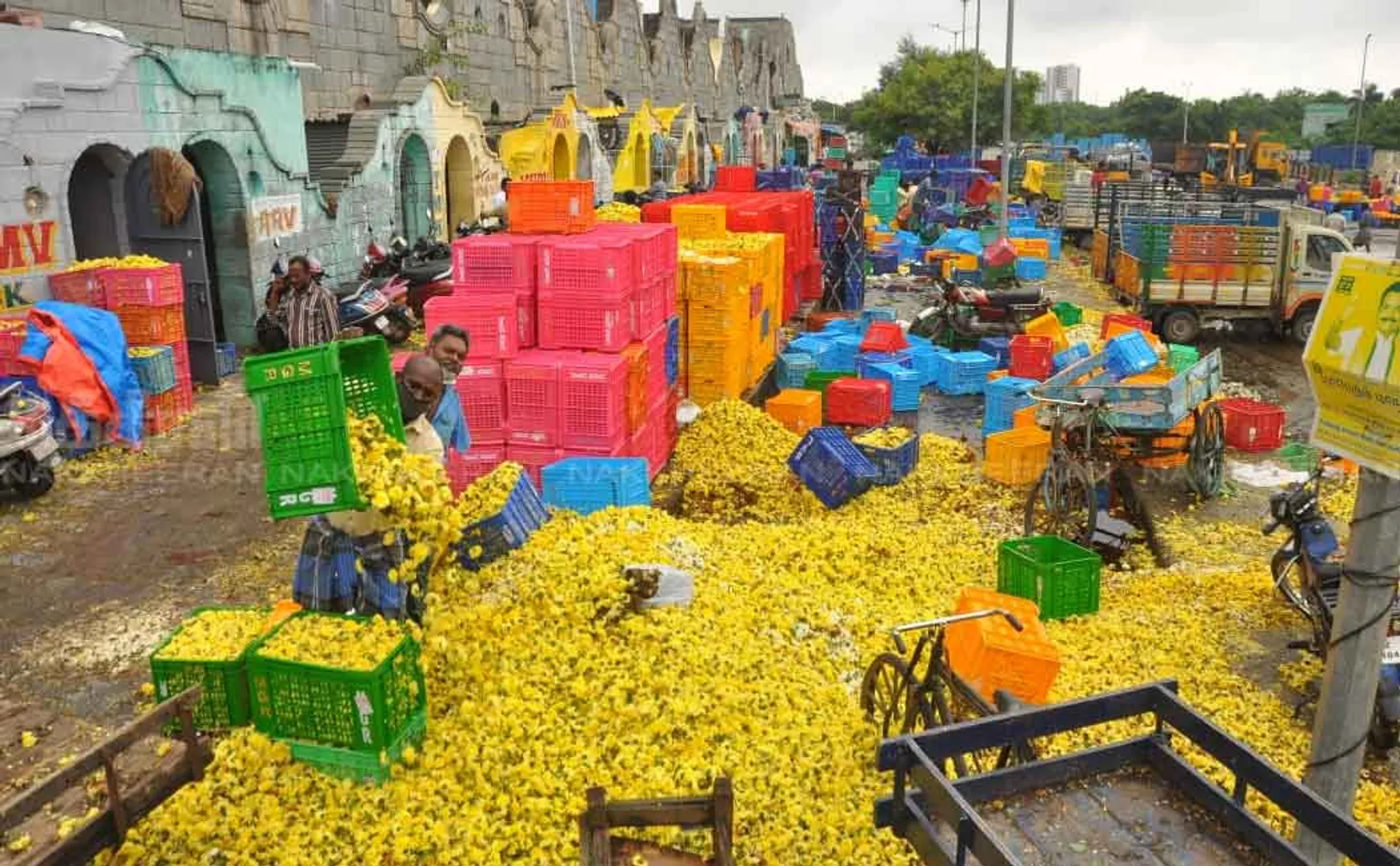 Flowers Traders dumping in the trash