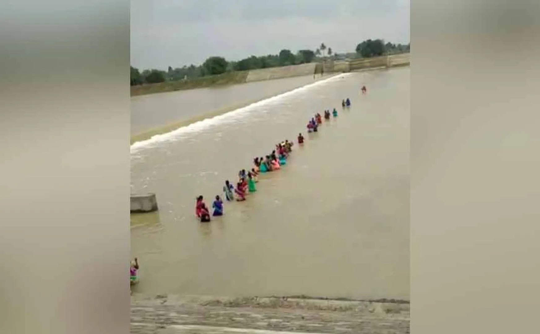 Farmers crossing the stream without realizing the danger!