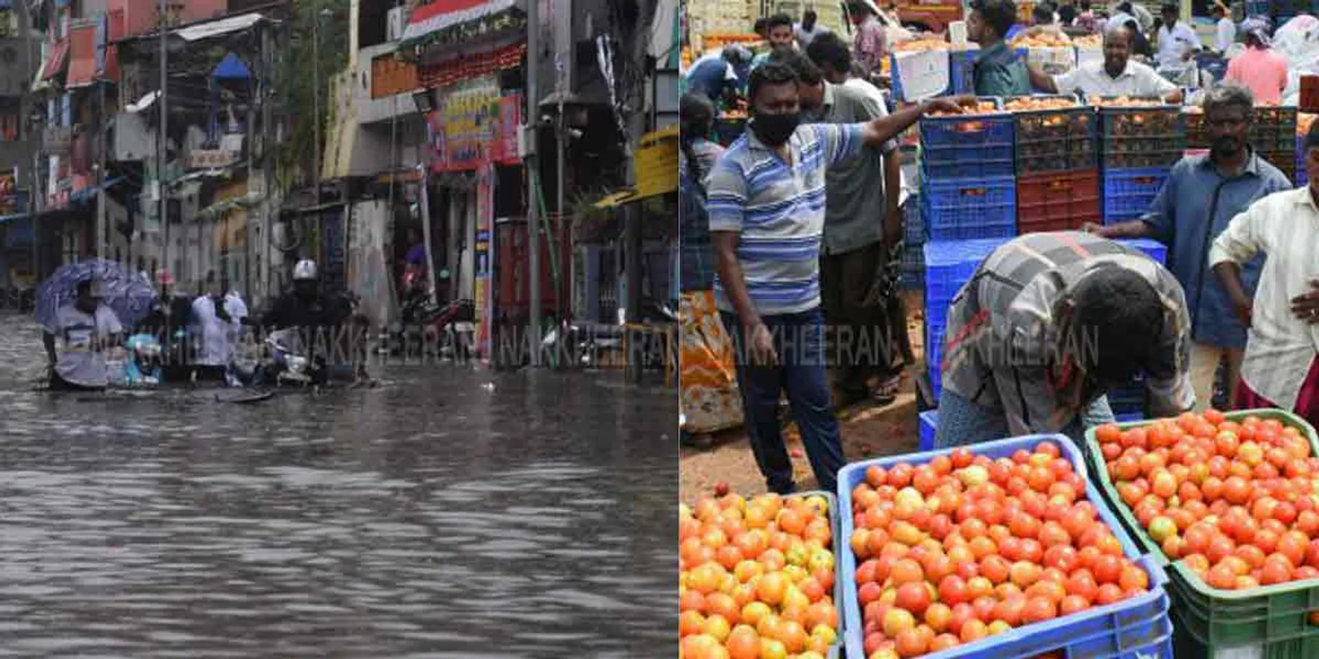 Tomato prices skyrocket to 100 rupees ...