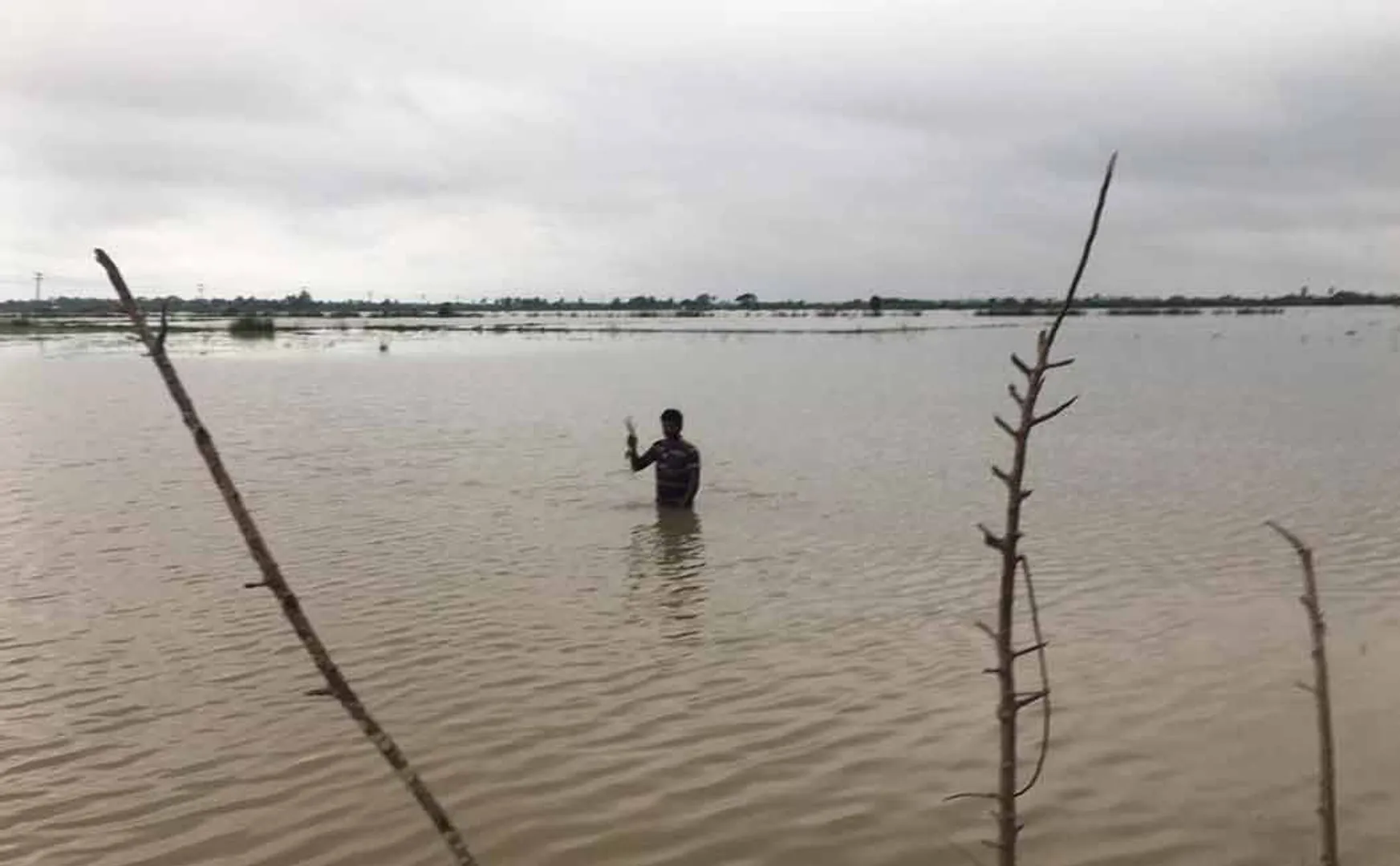 More than 10 thousand acres of paddy fields were inundated