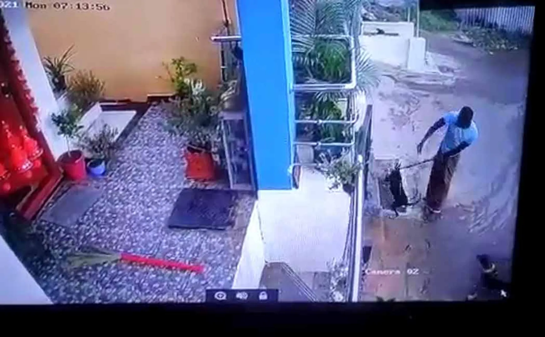 The person who bullied the pet dog 
