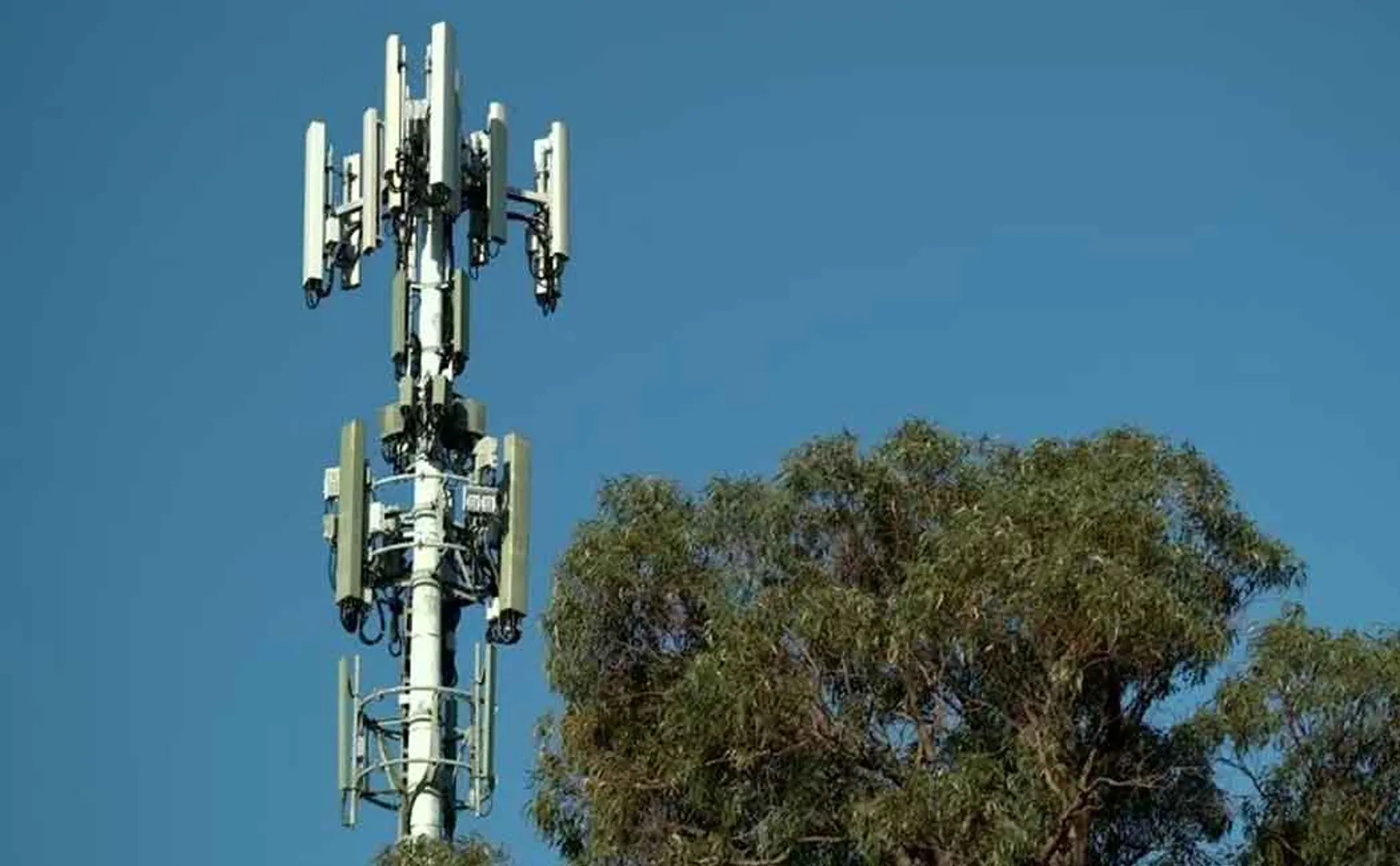 4g