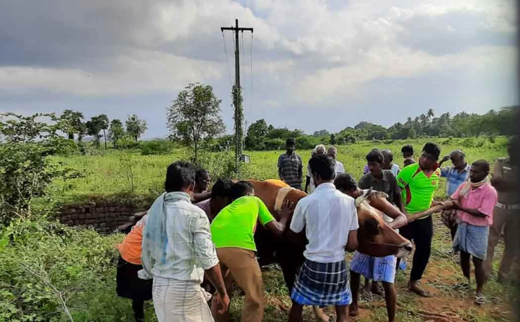 Firefighters rescue a cow that fell into a well