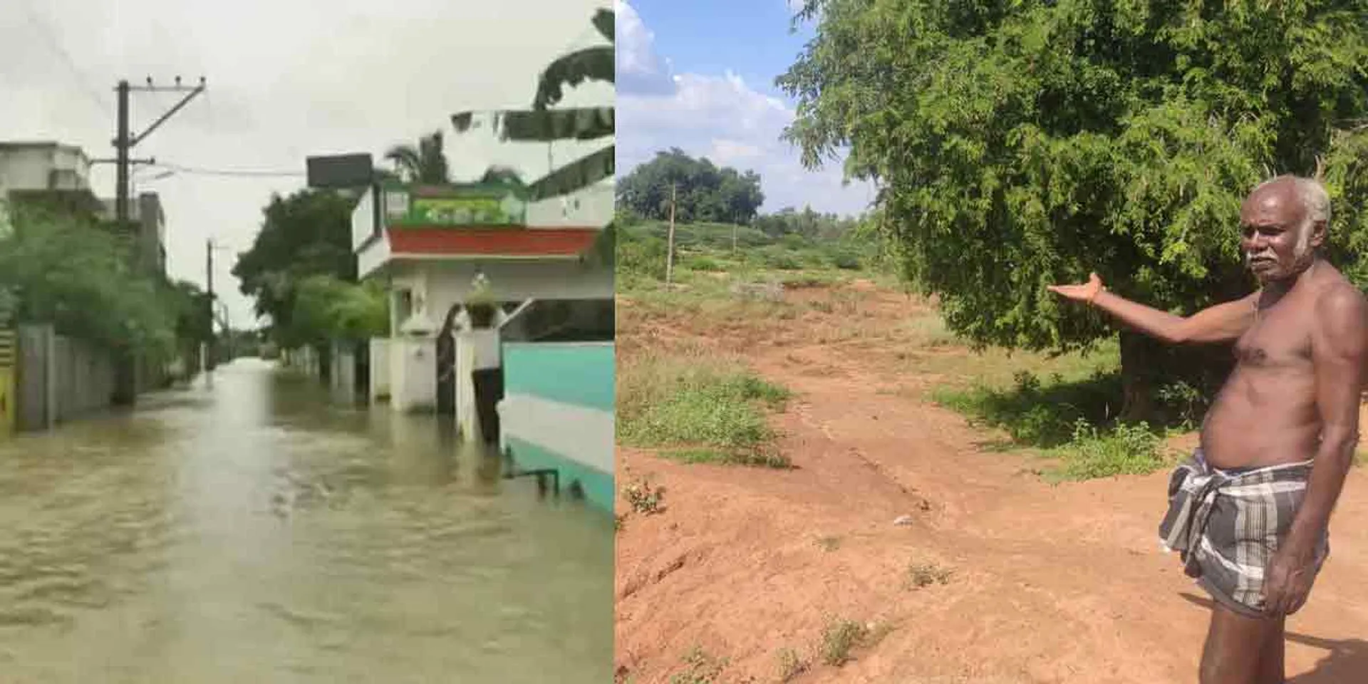  Ure flood forest .. but there is not a drop of water in this pond ...!