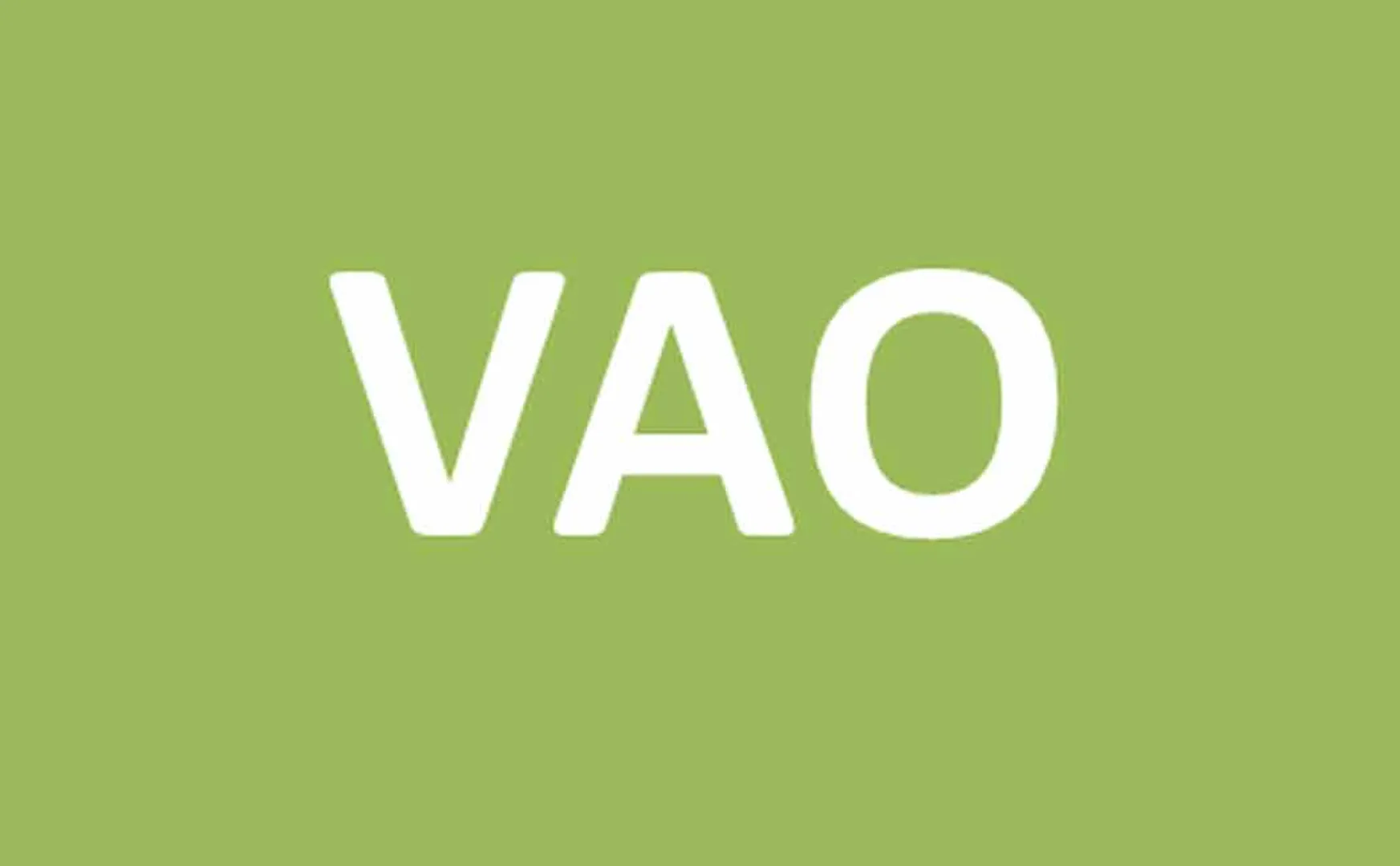 VAO Assistant issue 