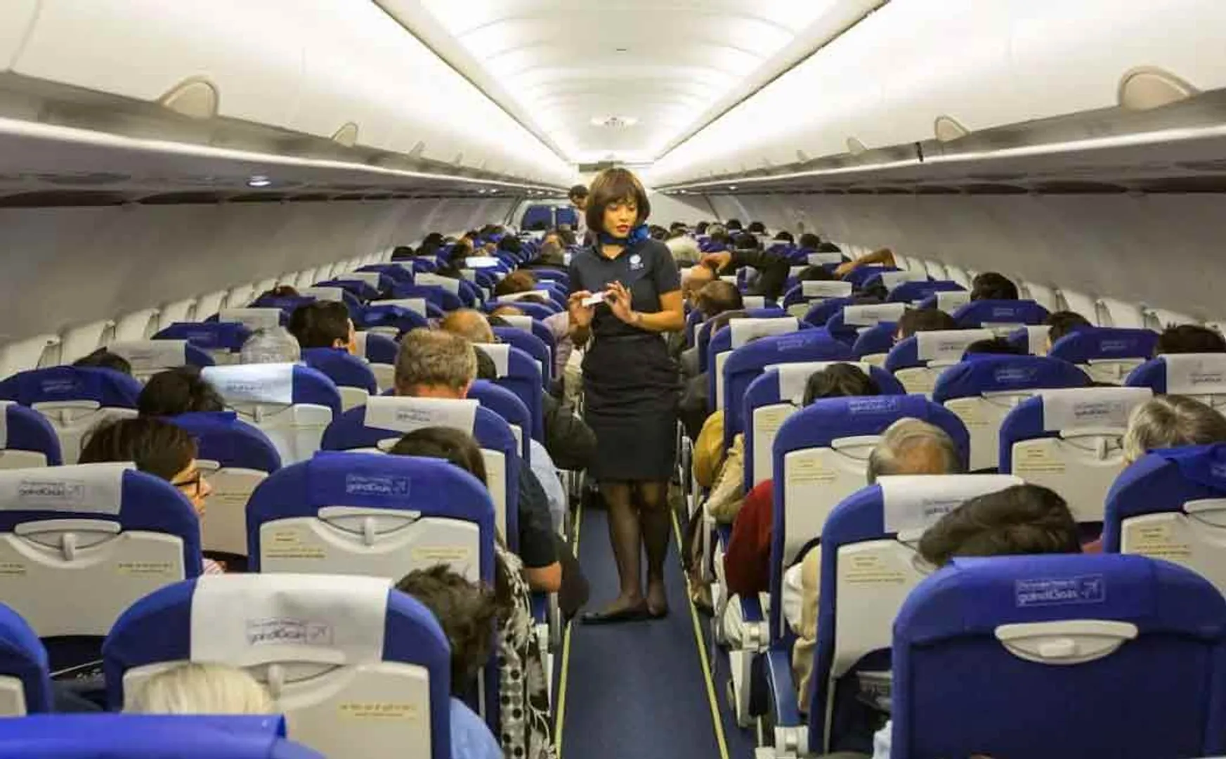 Private airline plans to offer additional flights