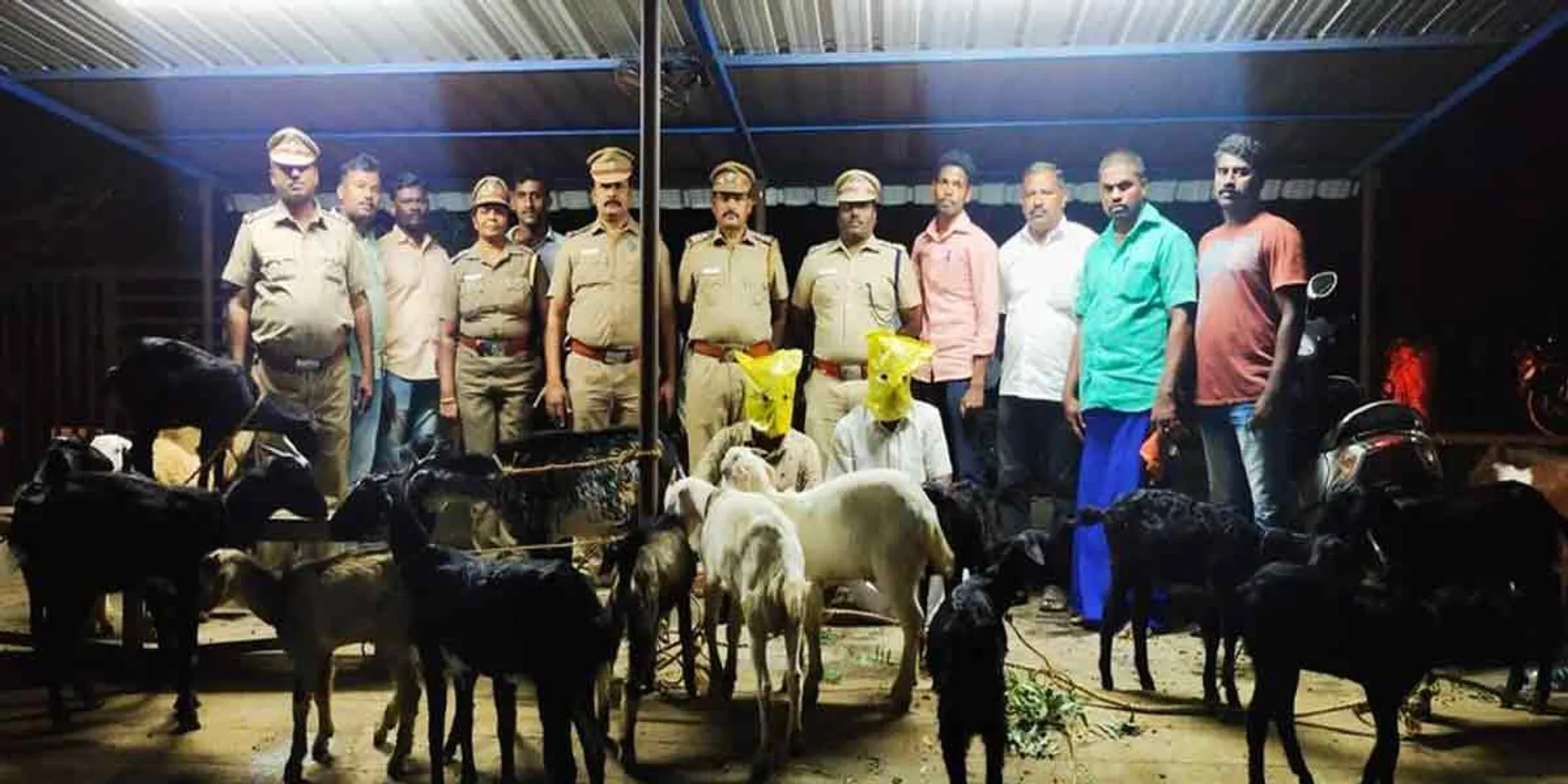  The police who lifted the goat thieves ...!