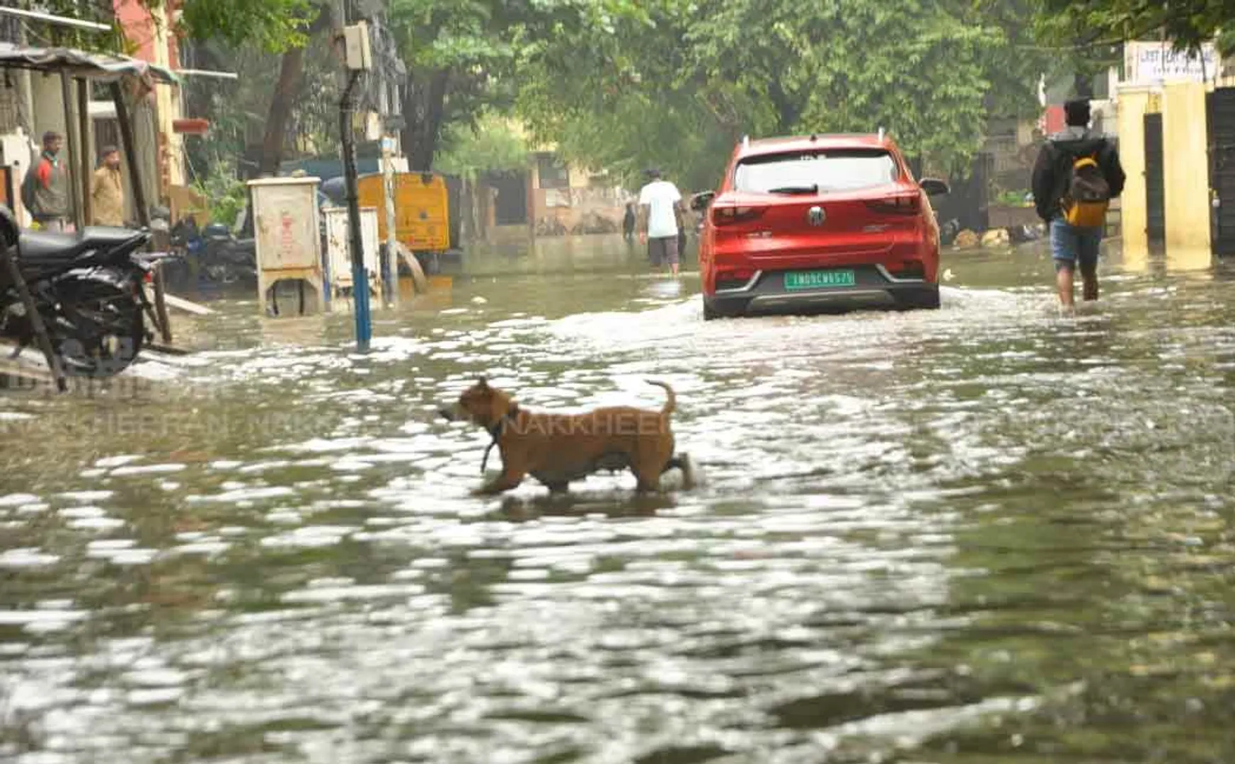 Heavy rain in Chennai ... Rainwater accumulated in various places