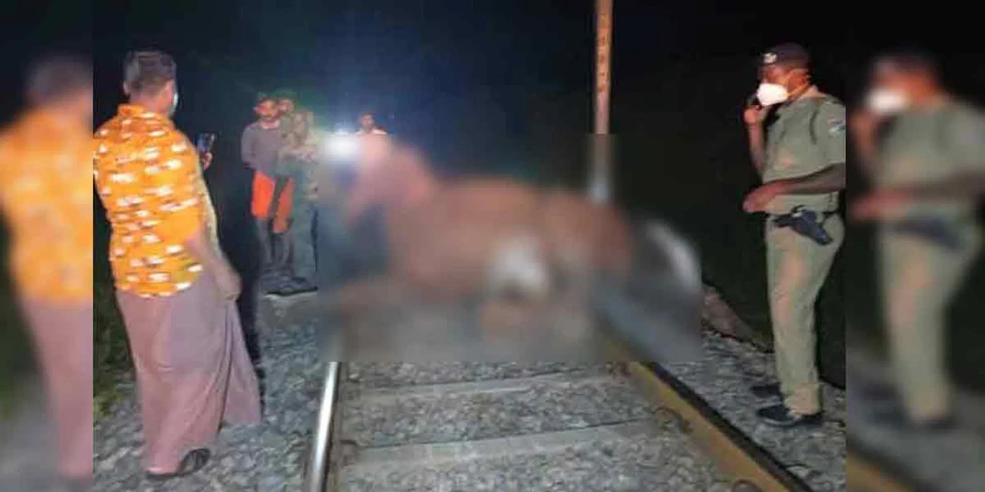 kovai elephant incident update 