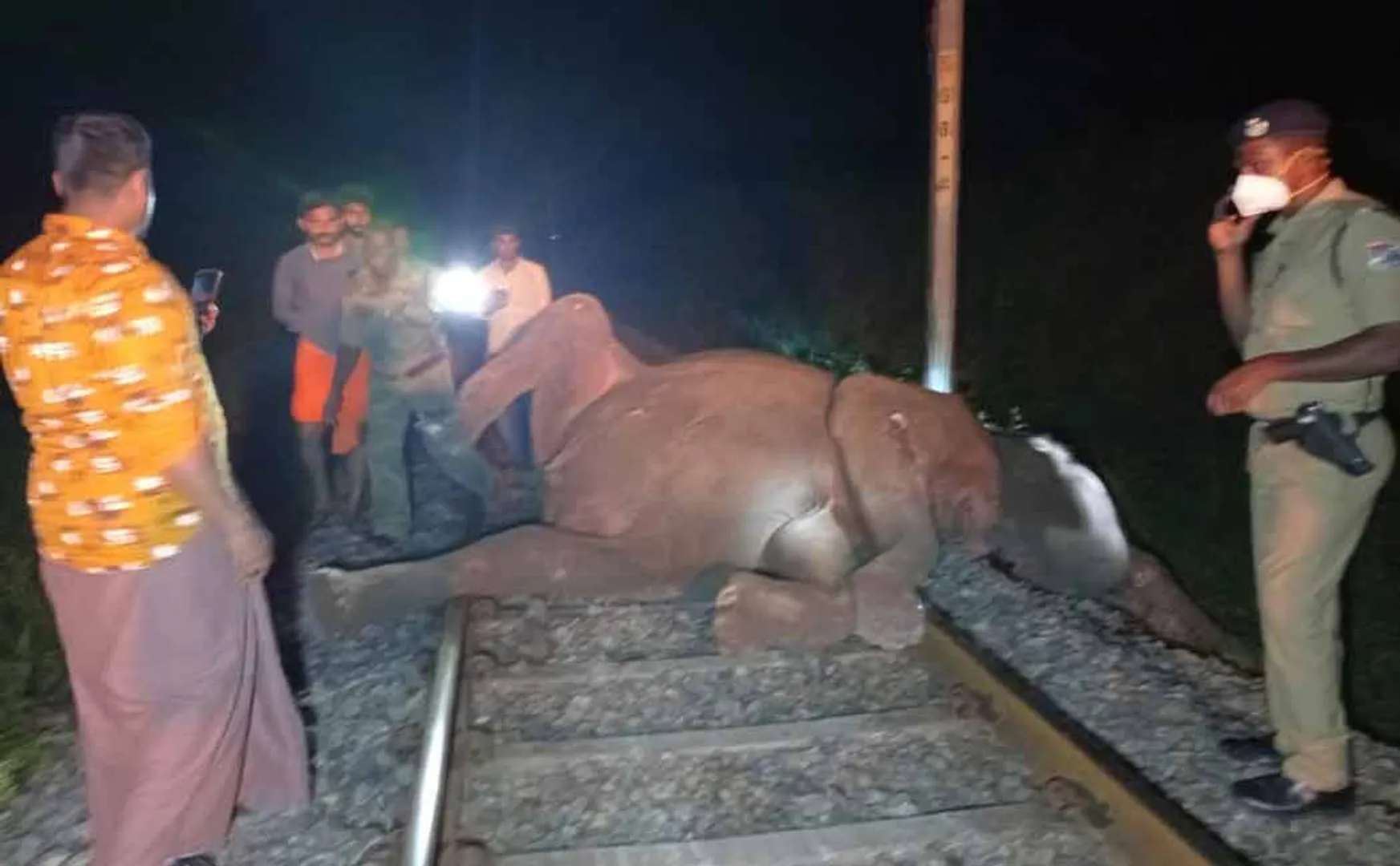 3 elephants passes away in train collision
