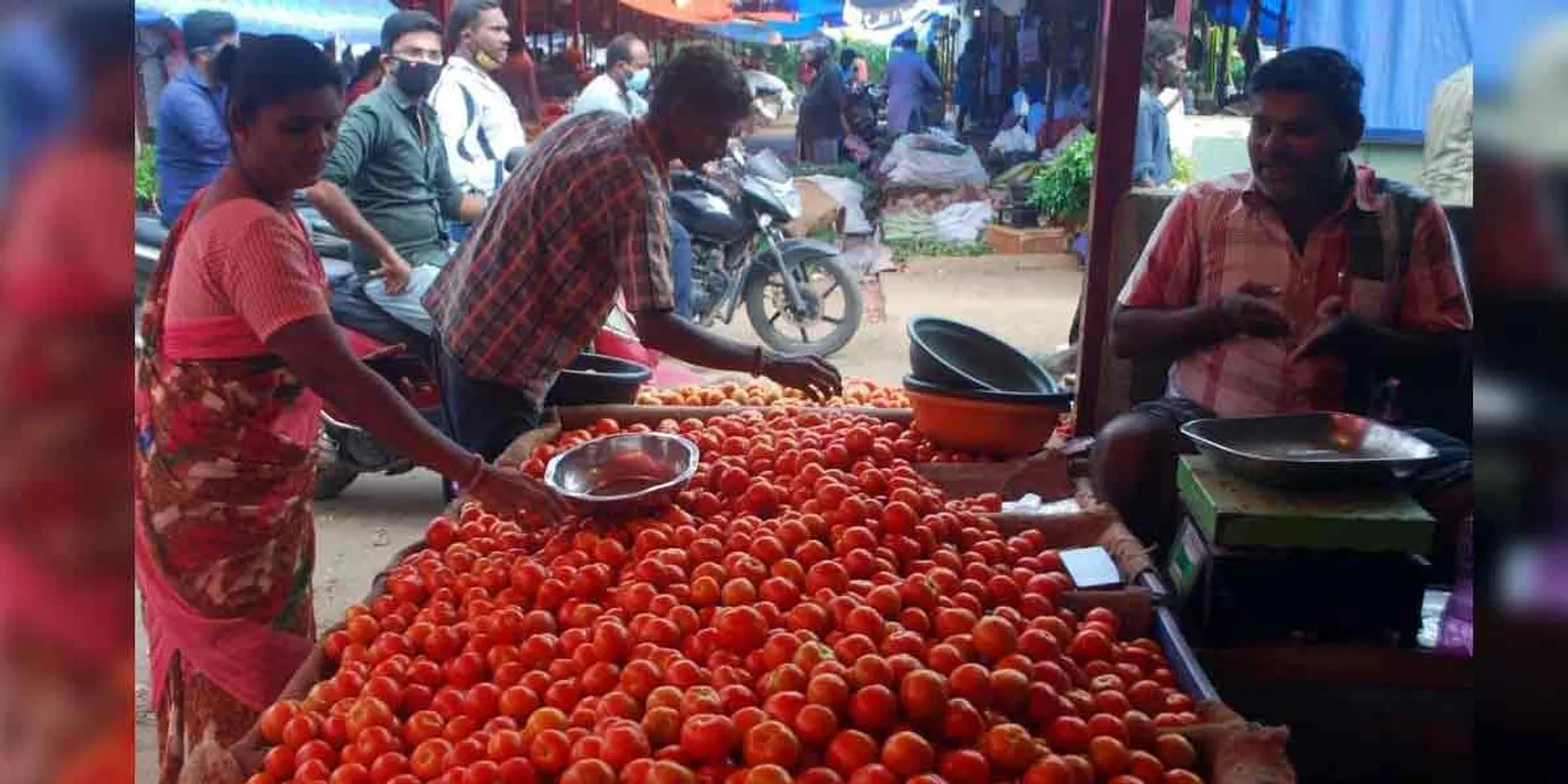  Delivery has started ... Tomato prices are low ..!