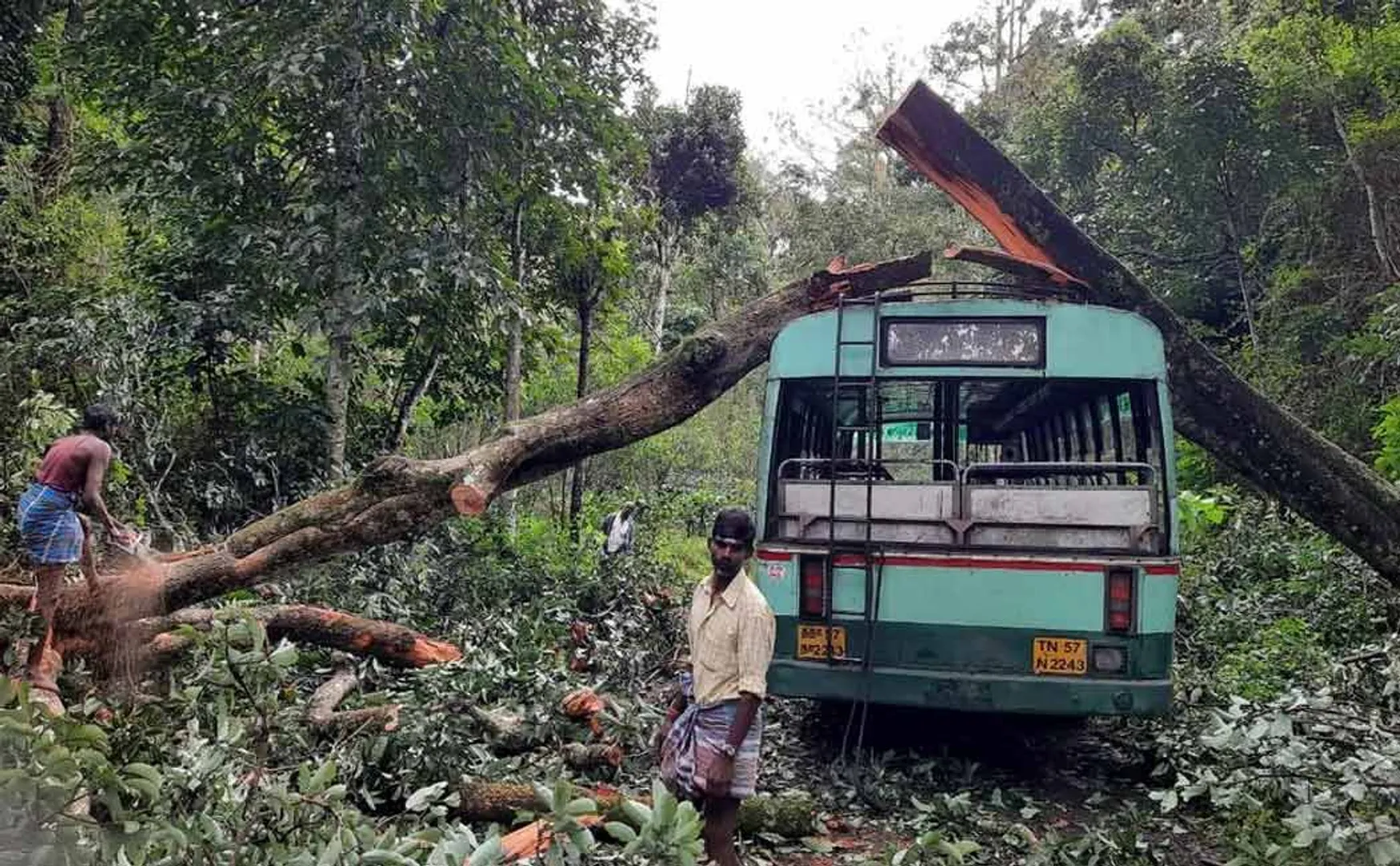 A tree fell on a bus on the Thandikudi hill road. Passengers fortunately survived !!