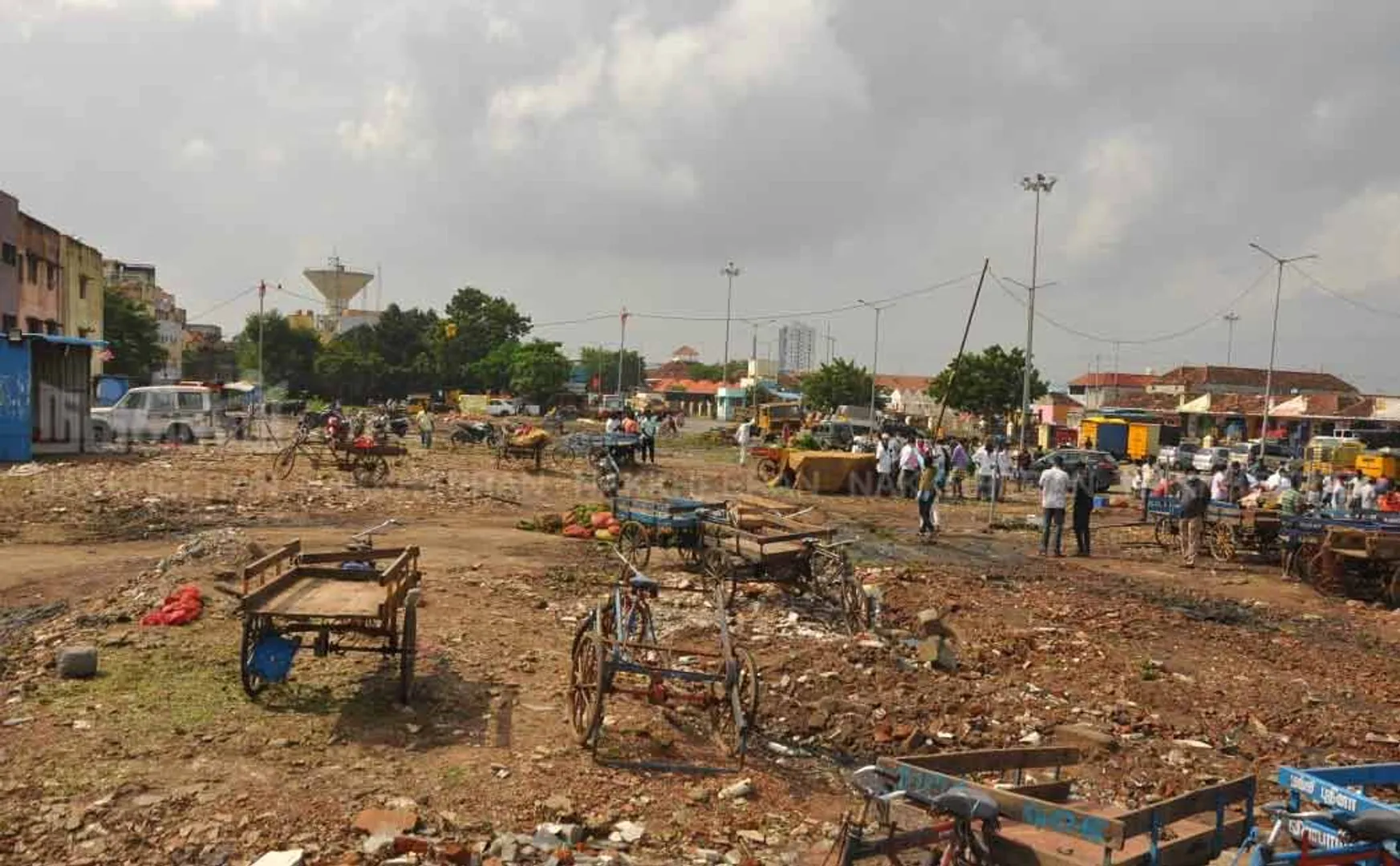 Land for tomato business  koyambedu market