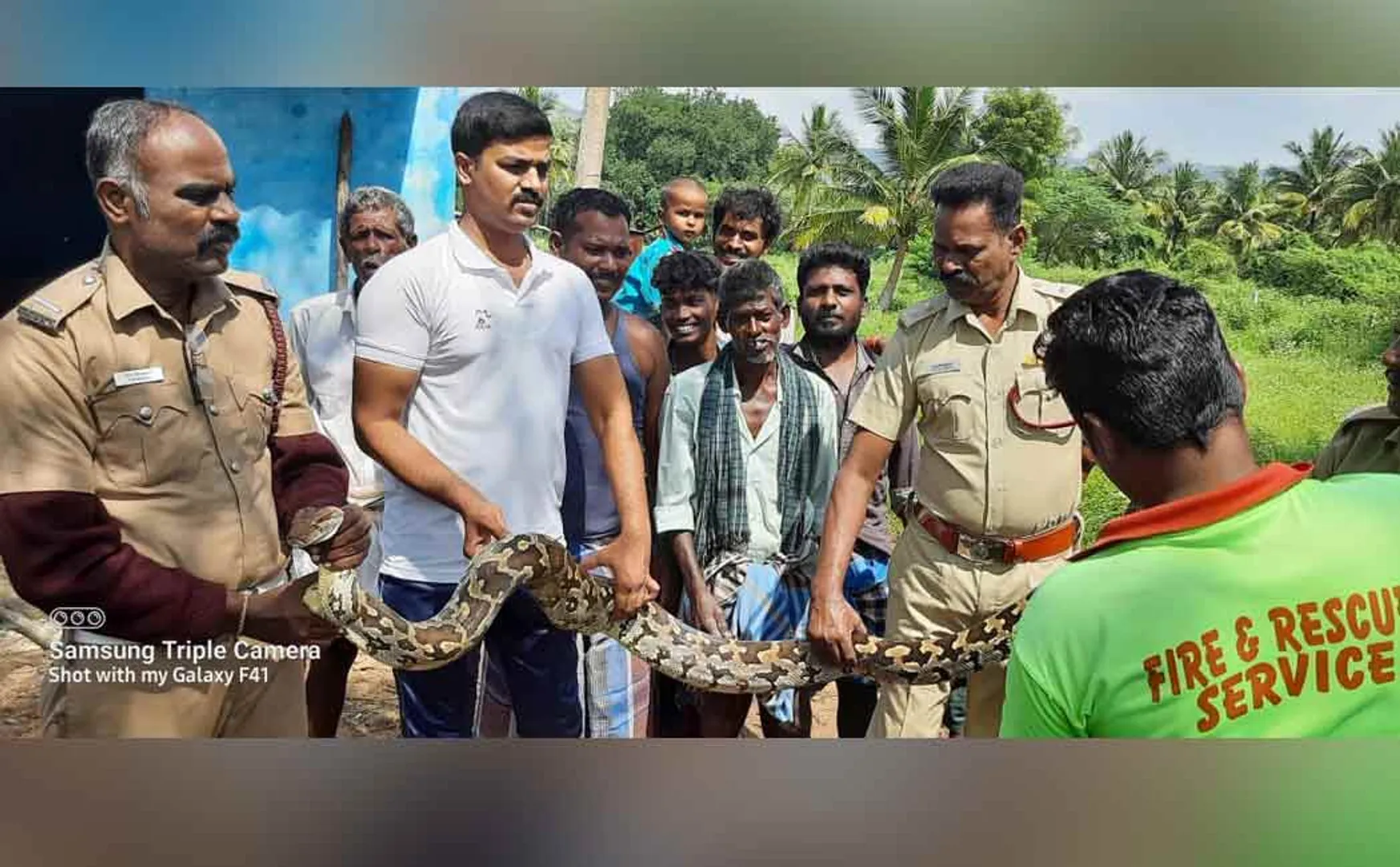 Mountain snake wandering near the residential area!