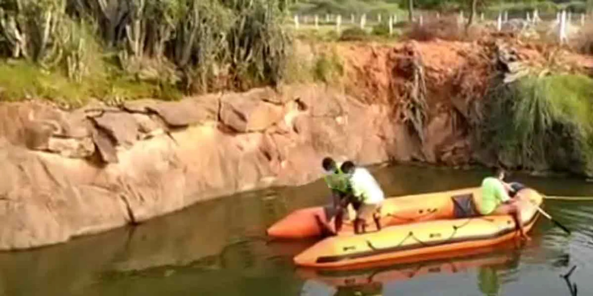 incident in thenkasi 