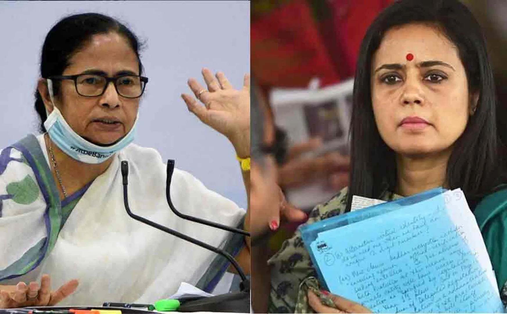 mamata - mahua 