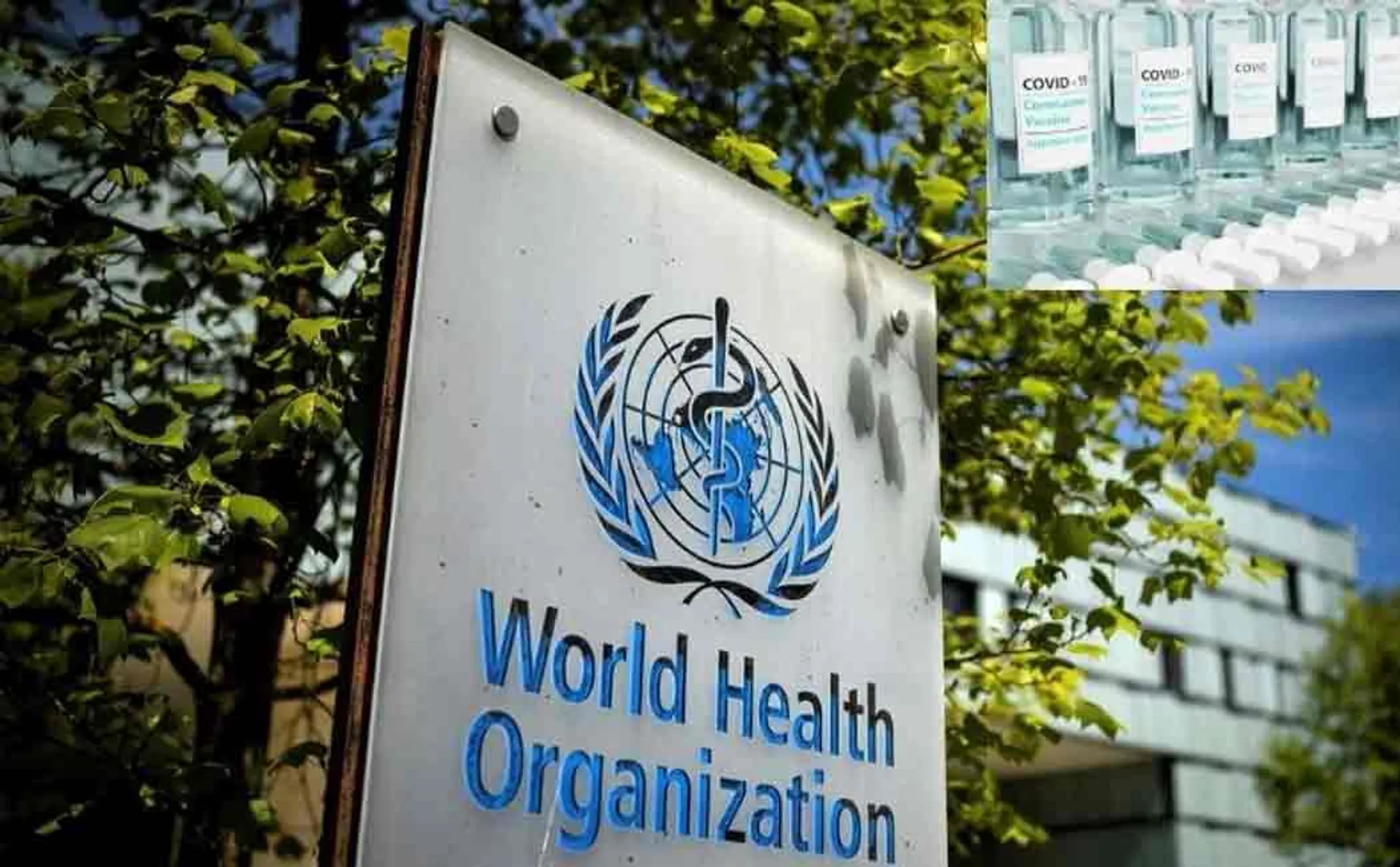 WORLD HEALTH ORGANISATION 
