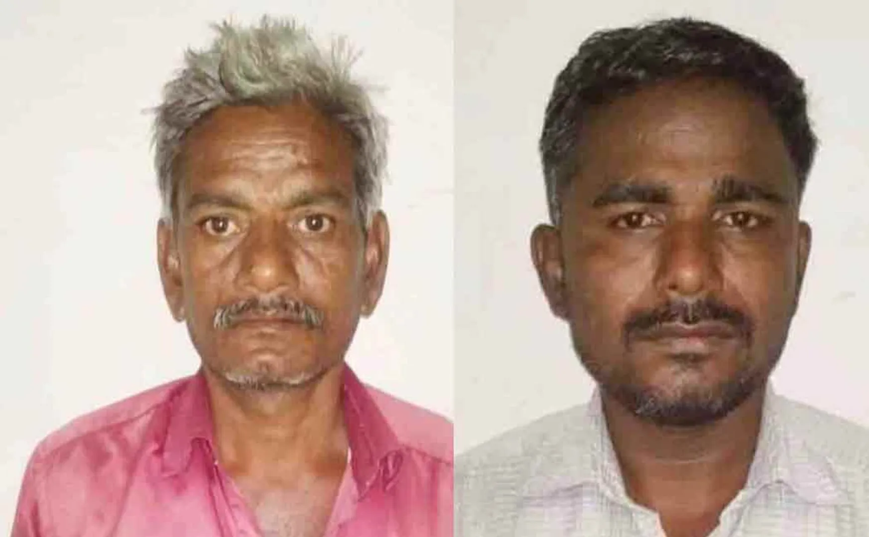 People arrested for cutting down trees