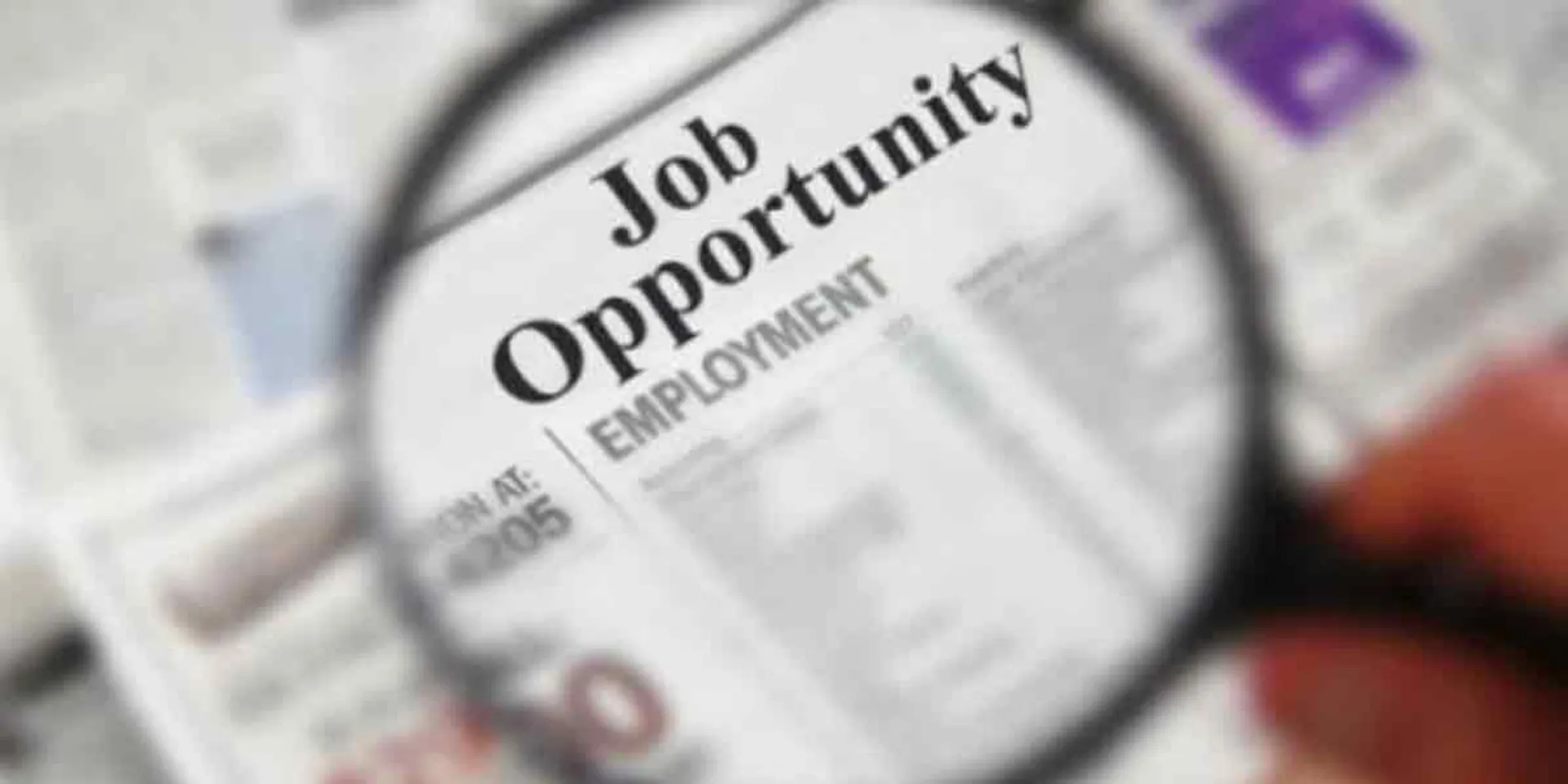 District Collector who canceled employment notices