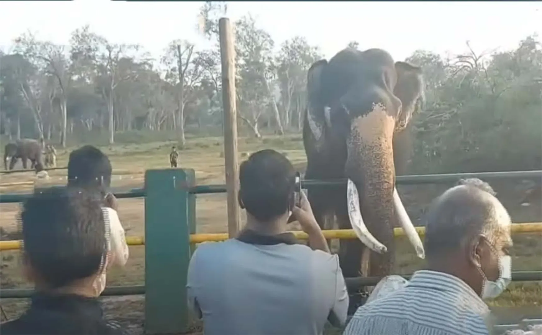 Tourists flock to Mudumalai for a series of holidays!