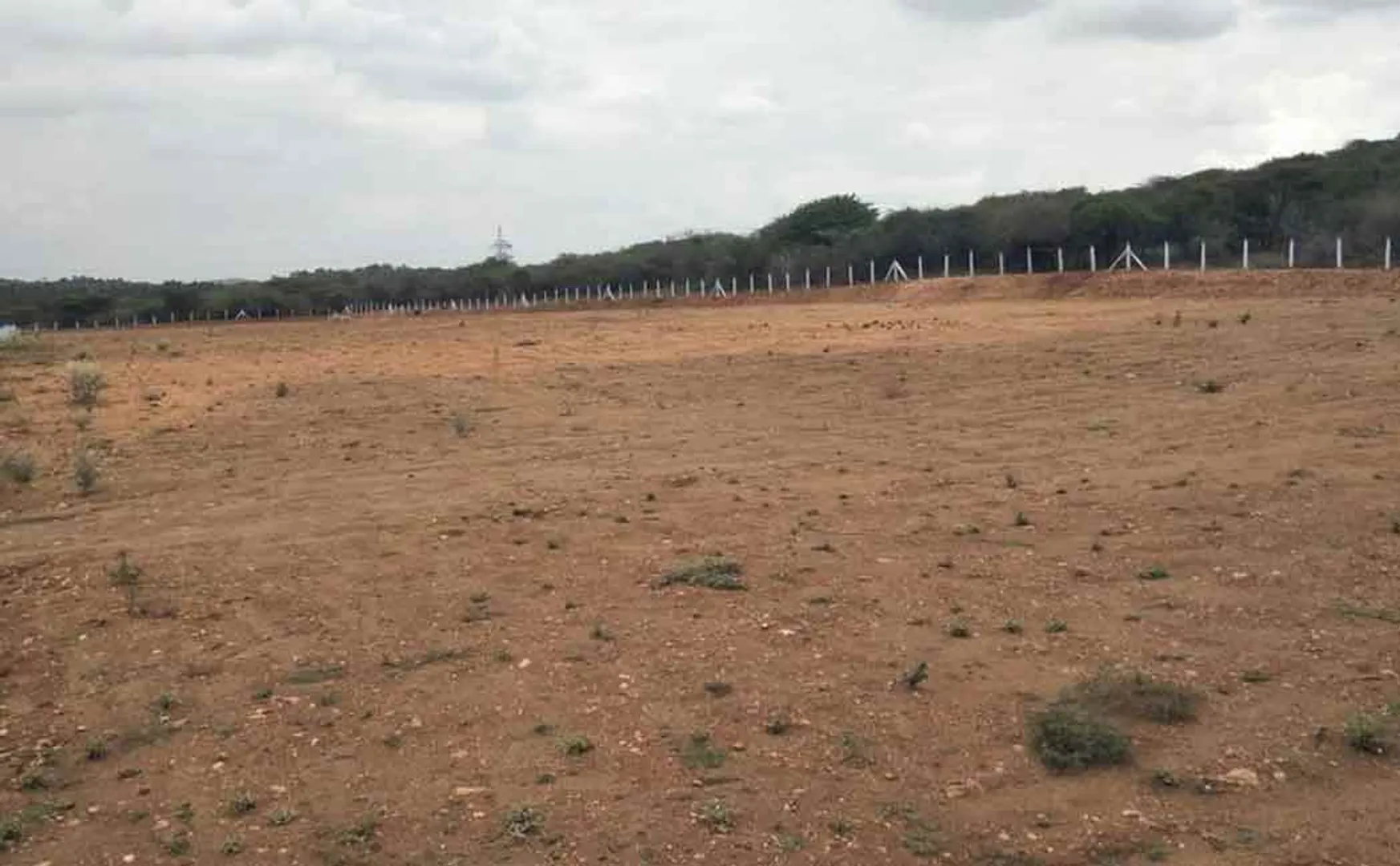 Fake deed of government land; Loot Minerals!