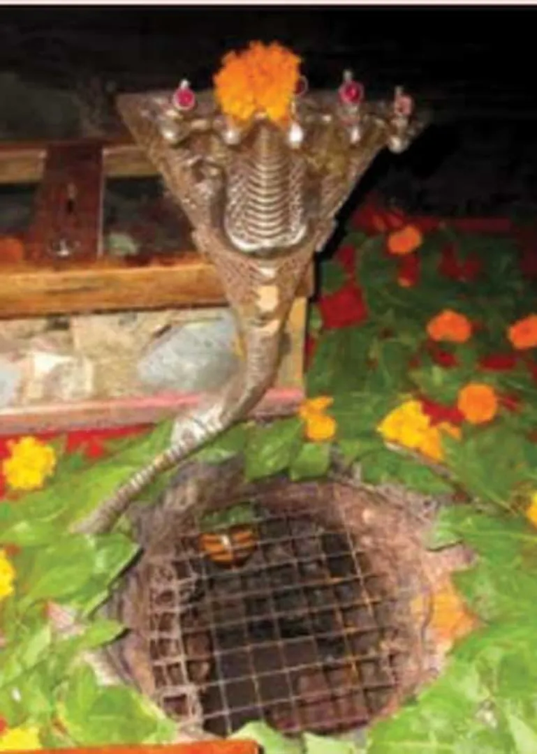 /idhalgal/om/artha-kasi-achaleswarar