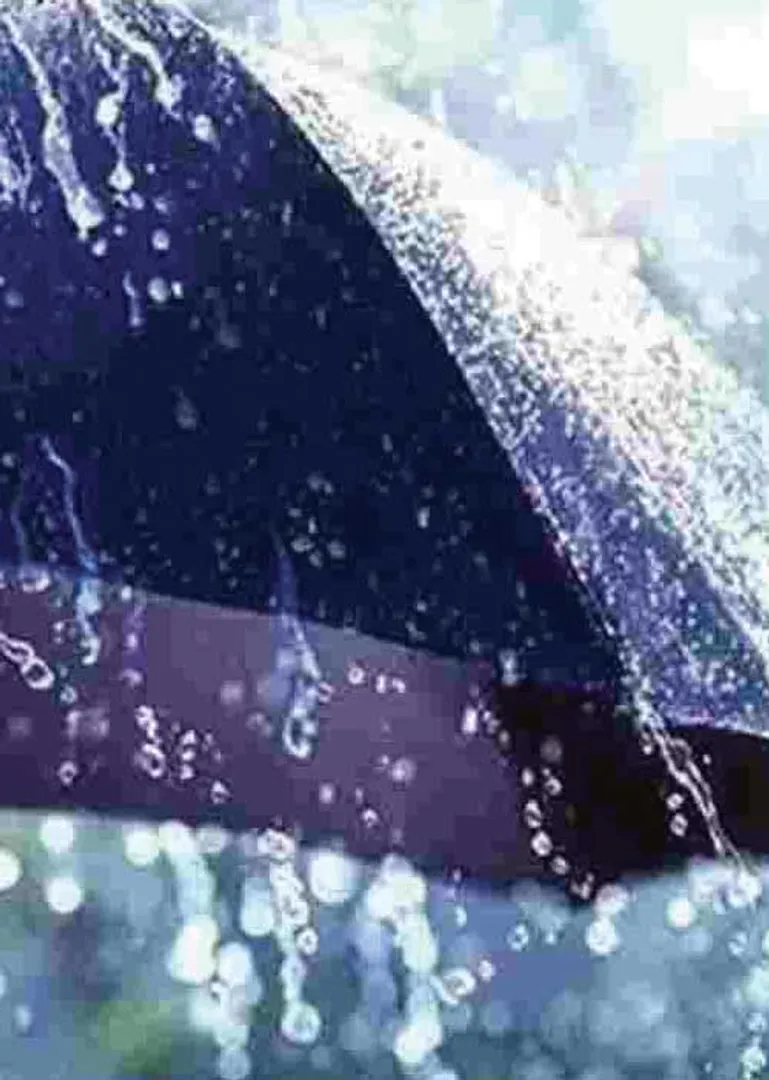 /idhalgal/balajothidam/lets-know-next-years-rain-now