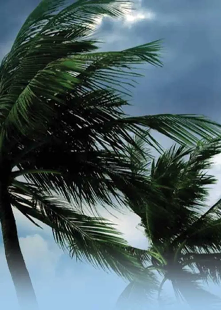 /idhalgal/eniya-utayam/hurricane-wind-urub-tamil-sura