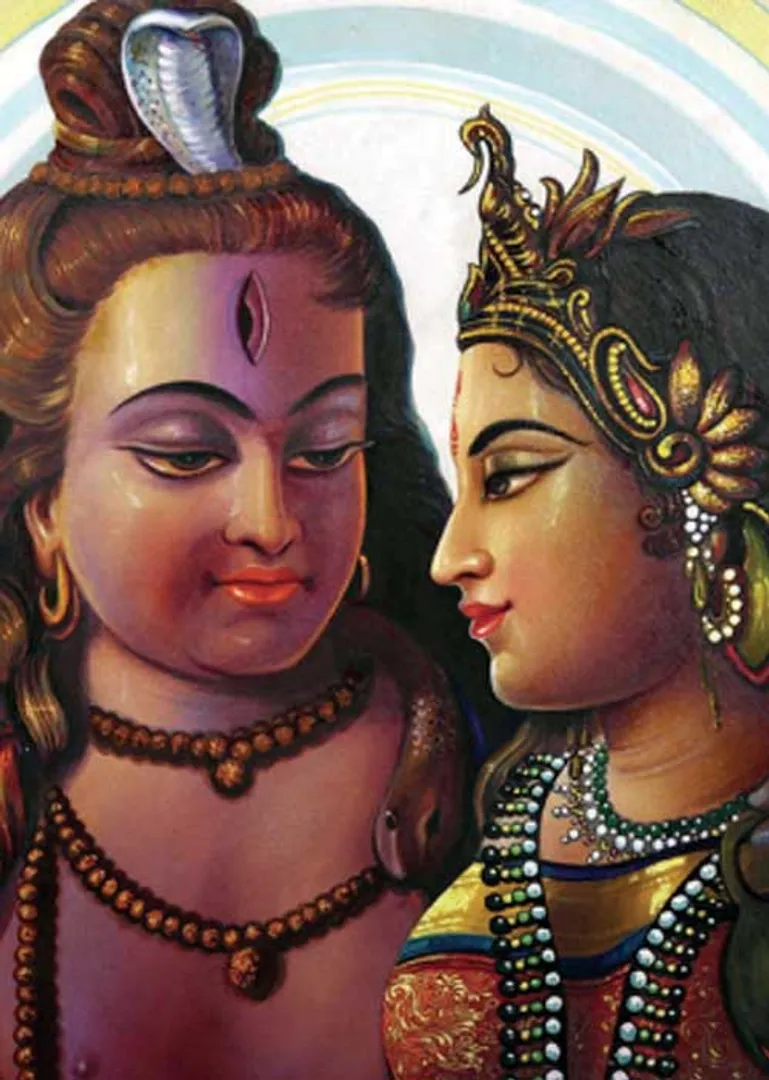 /idhalgal/balajothidam/venus-evil-affects-home-siddharthasan-sundarji-jeevanadi-influence-study