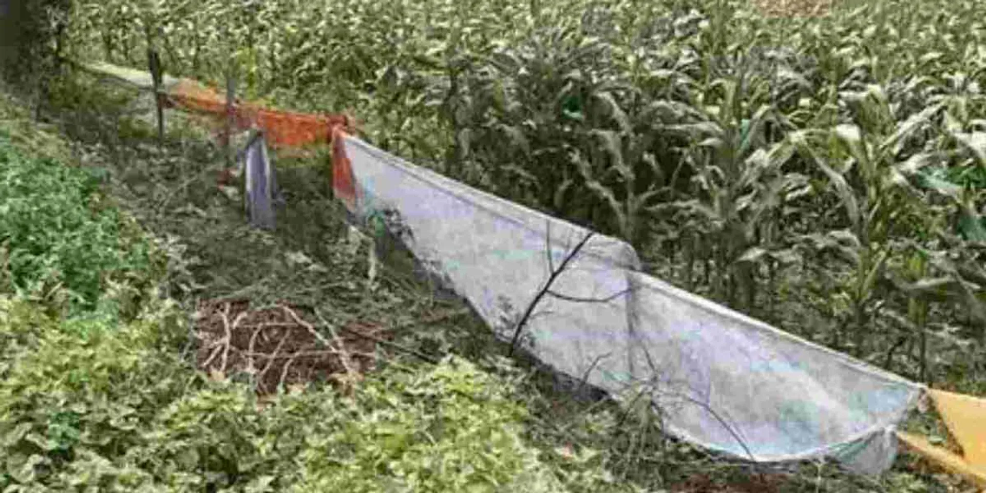 Land owner arrested for illegal electrical construction