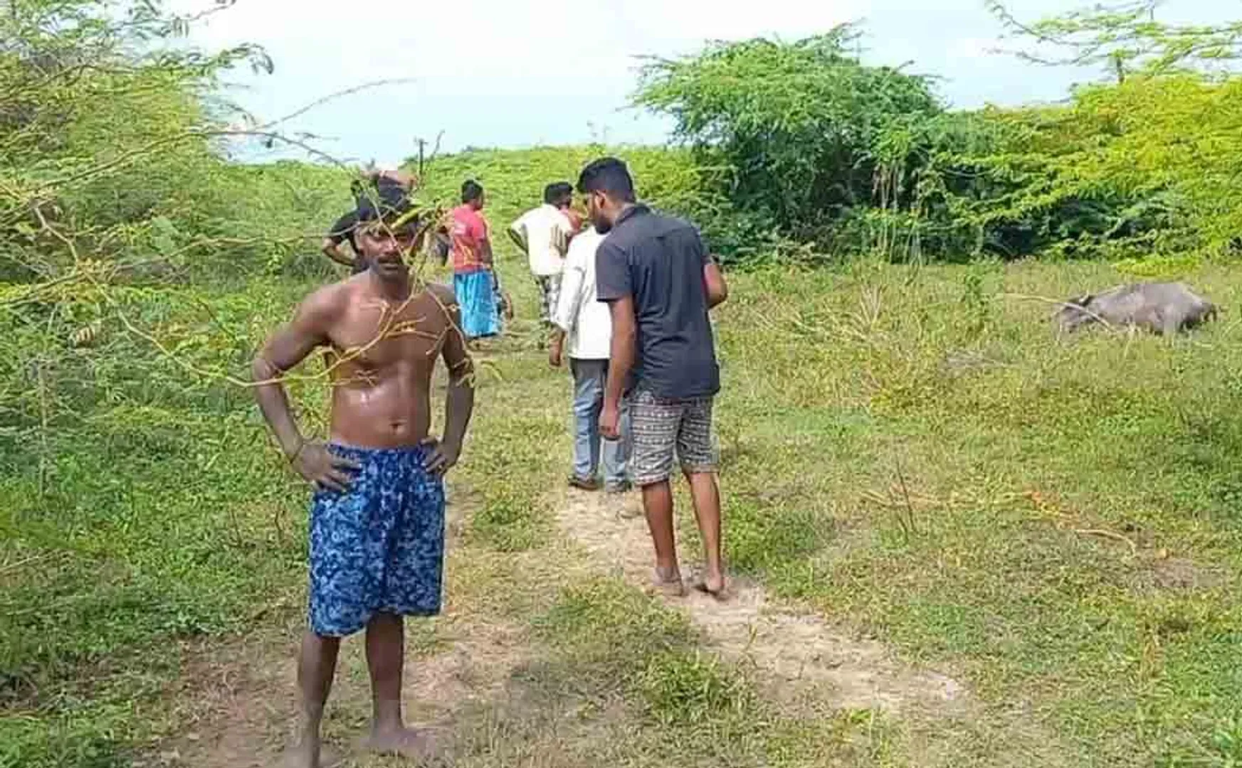 PUDUCHERRY COWS INCIDENT POLICE INESTIGATION 