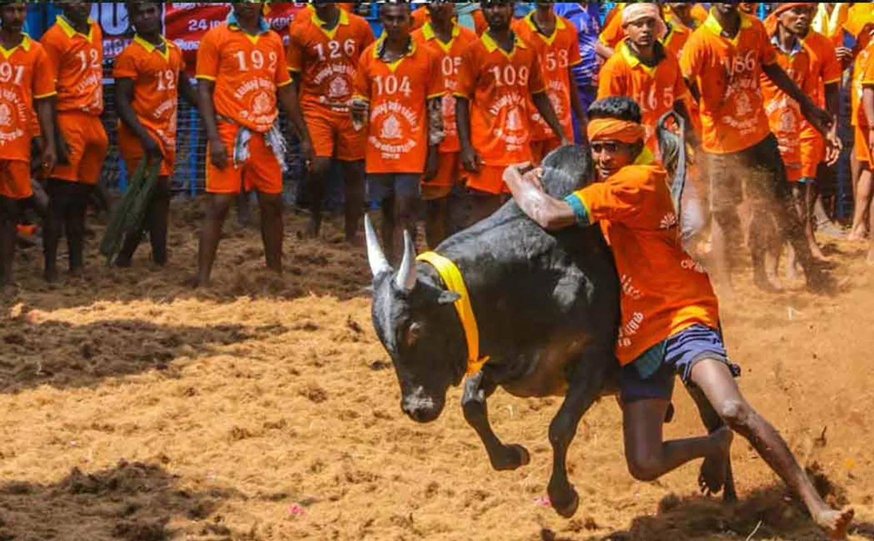 Trichy Periya Suriyur Jallikattu has started!