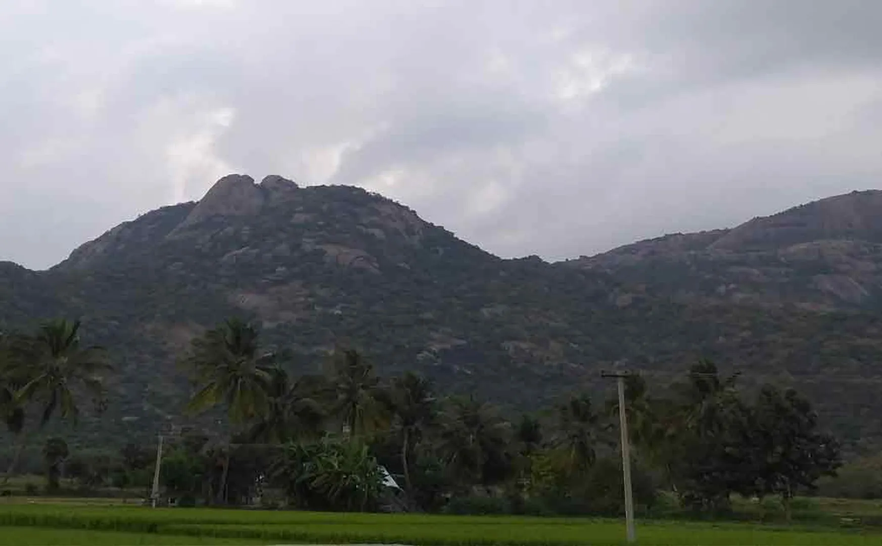 People who informed the forest department