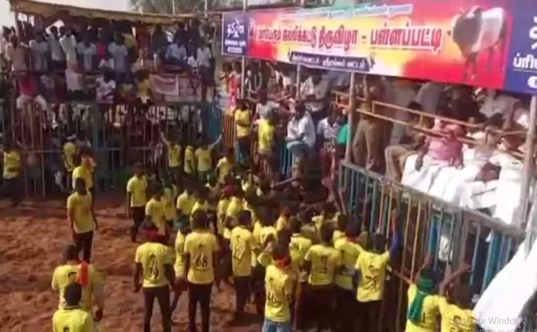 Trichy Pallappatti Jallikattu which started 
